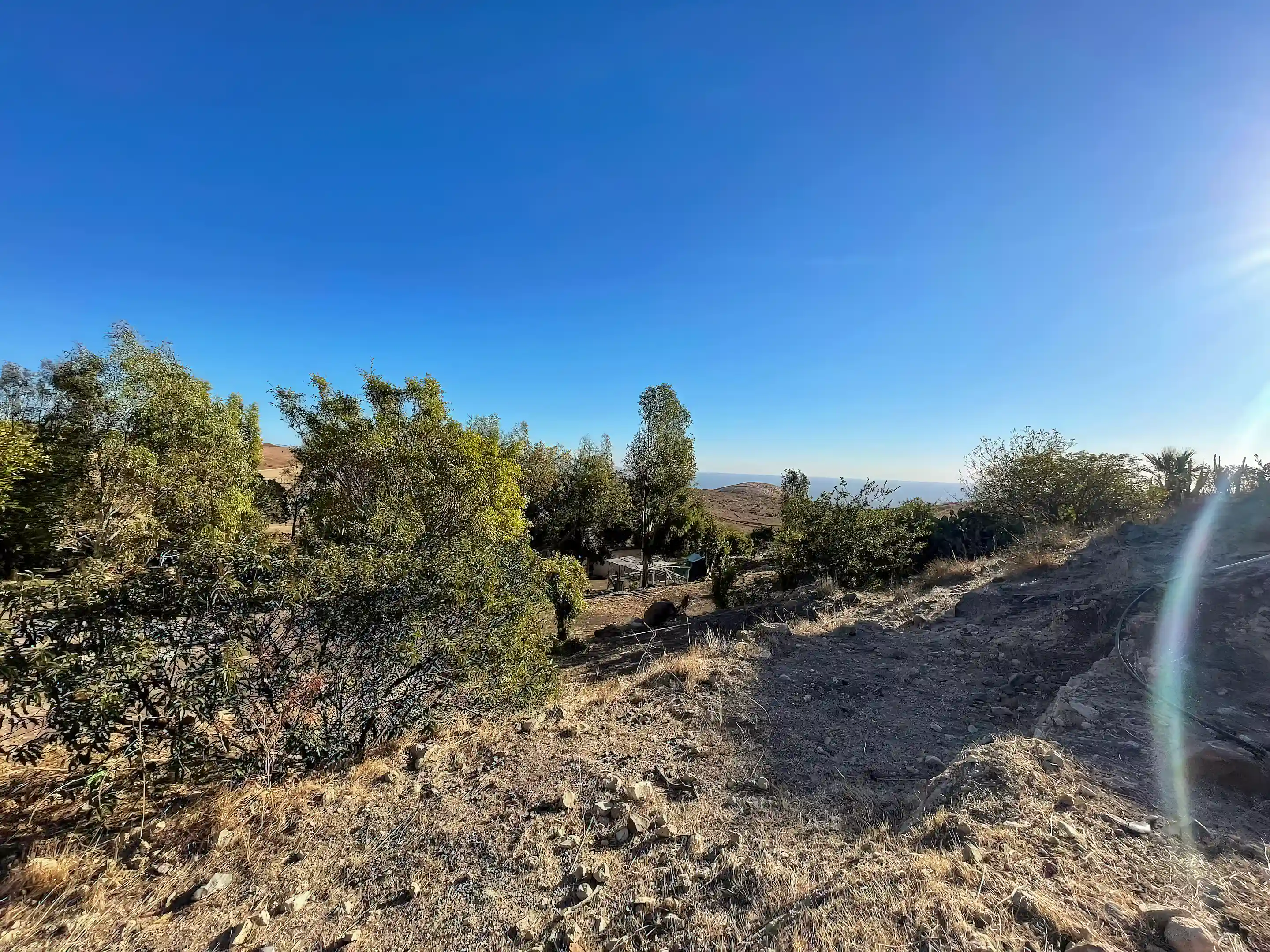 View to south/west from lot.
