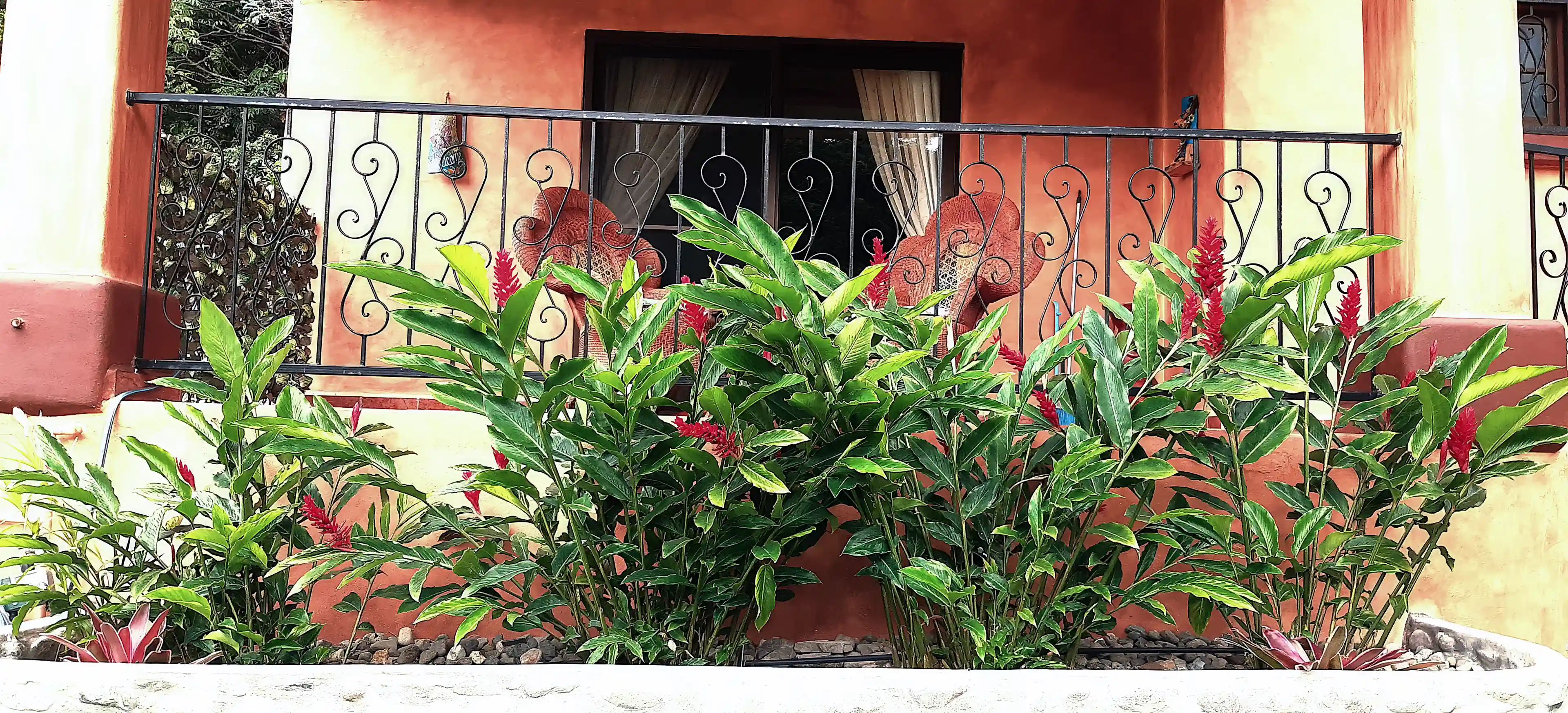 Lower level terrace and planter