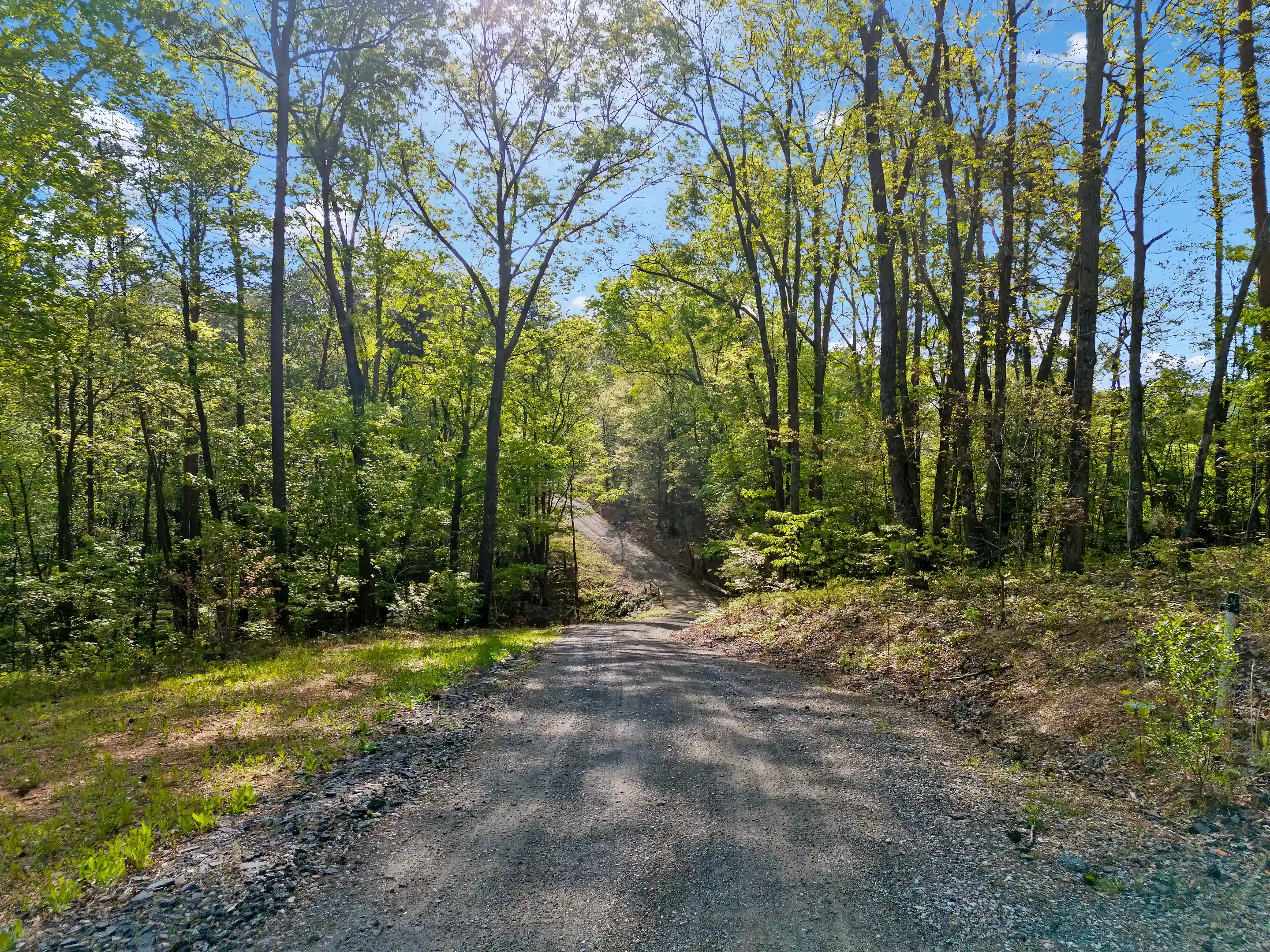Driveway to property