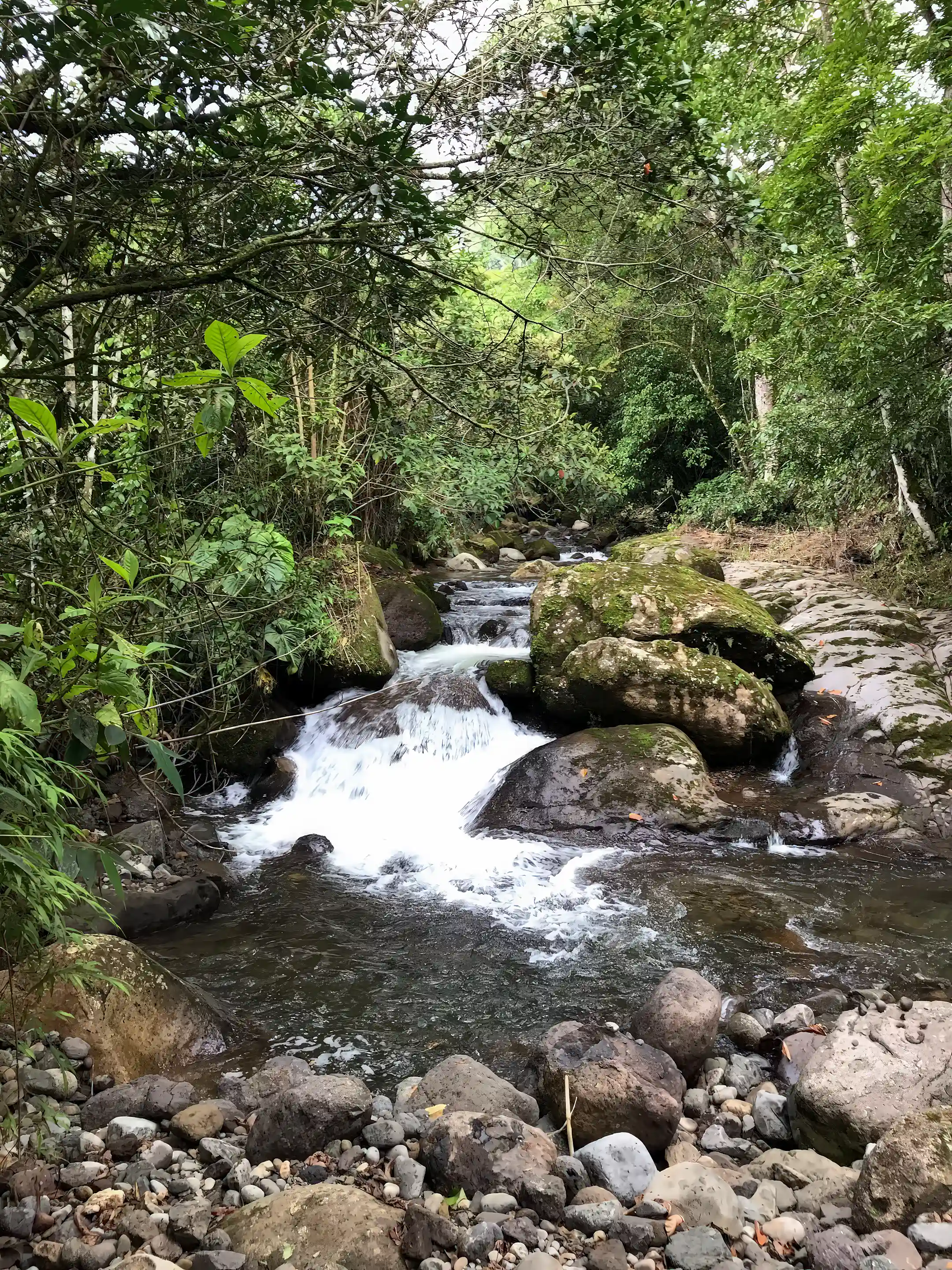 Mushroom Farm for Sale in Orosi, Paraiso, Cartago, Costa Rica