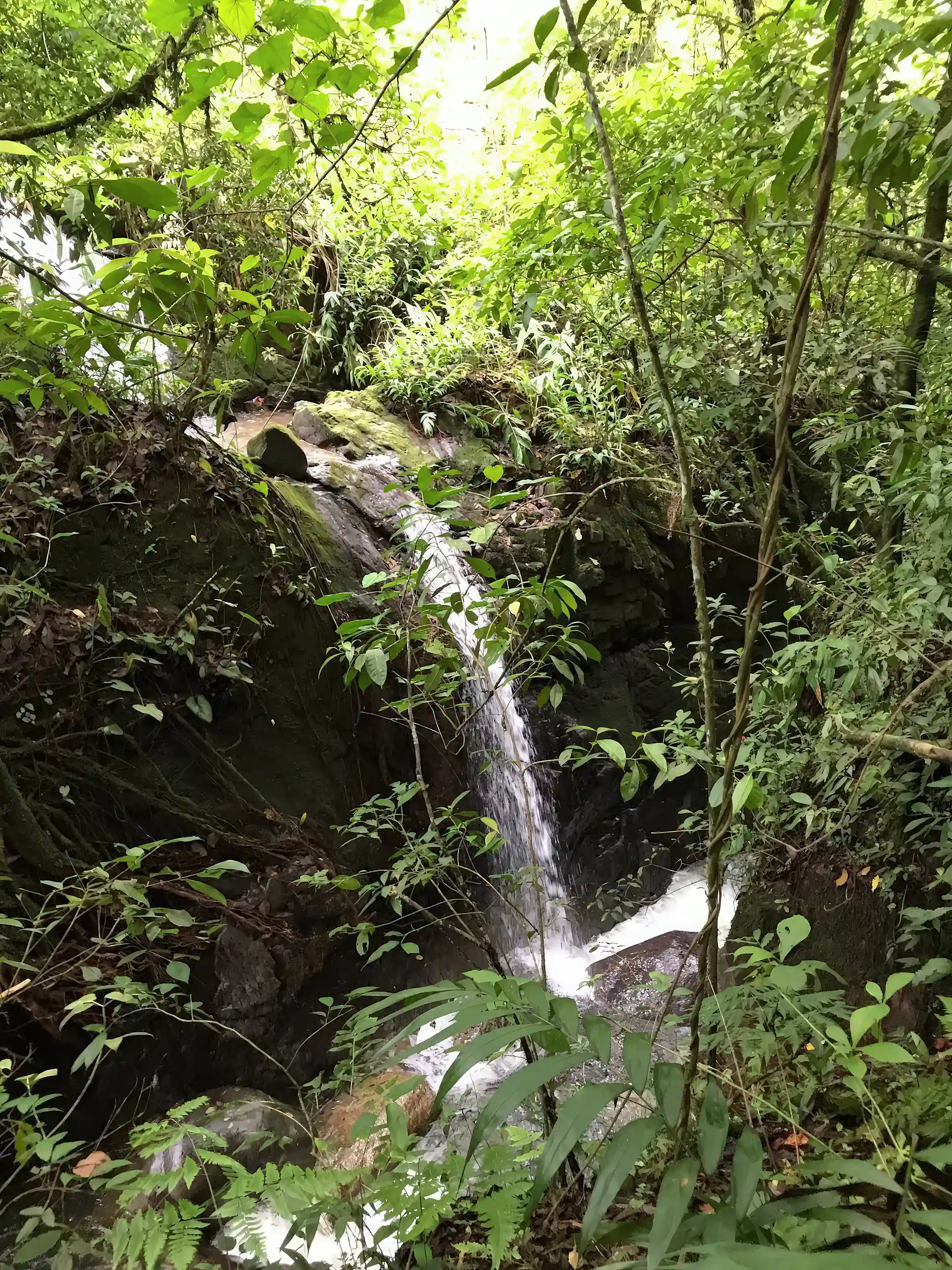 Waterfall