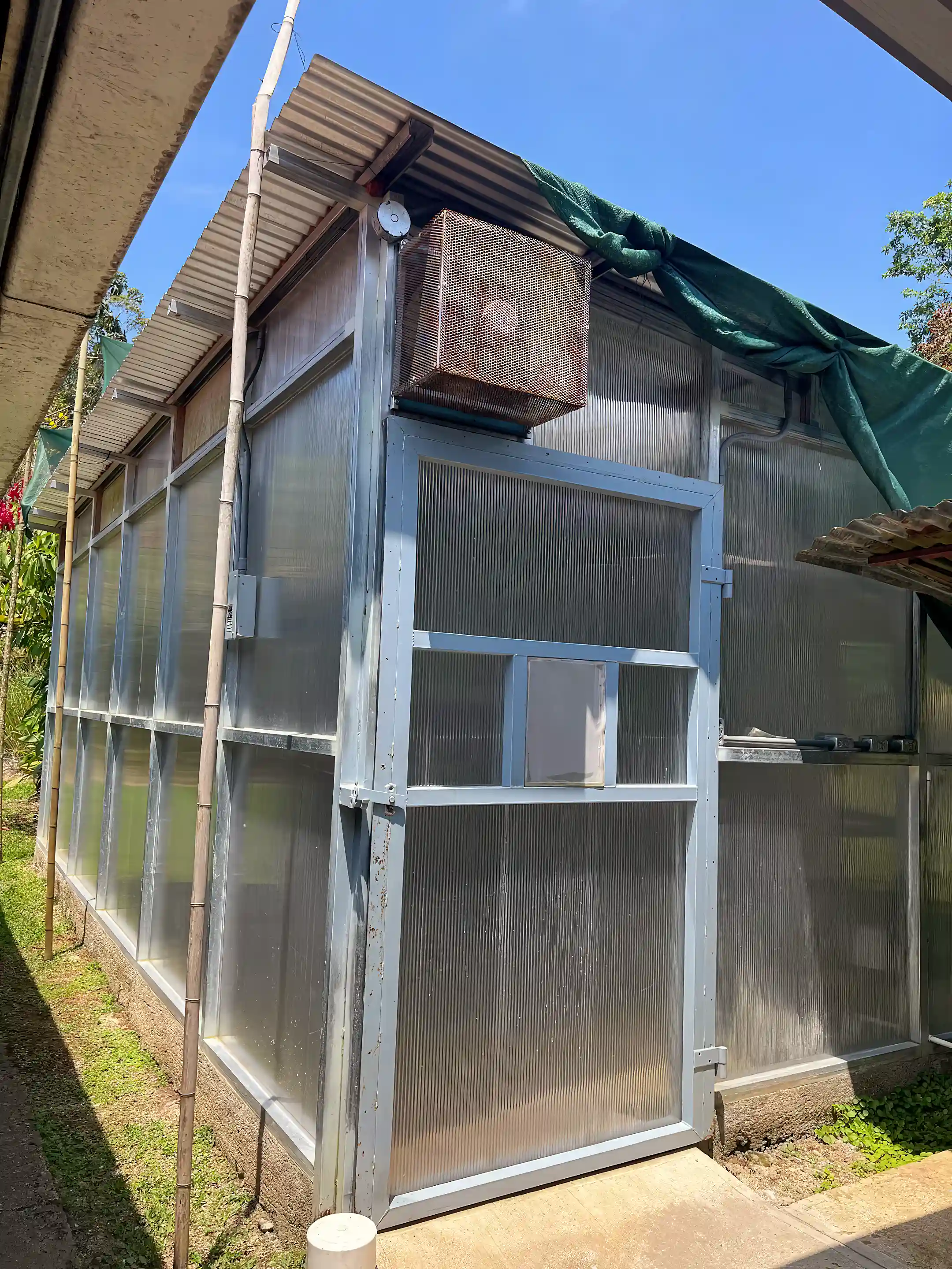 Another mushroom grow house