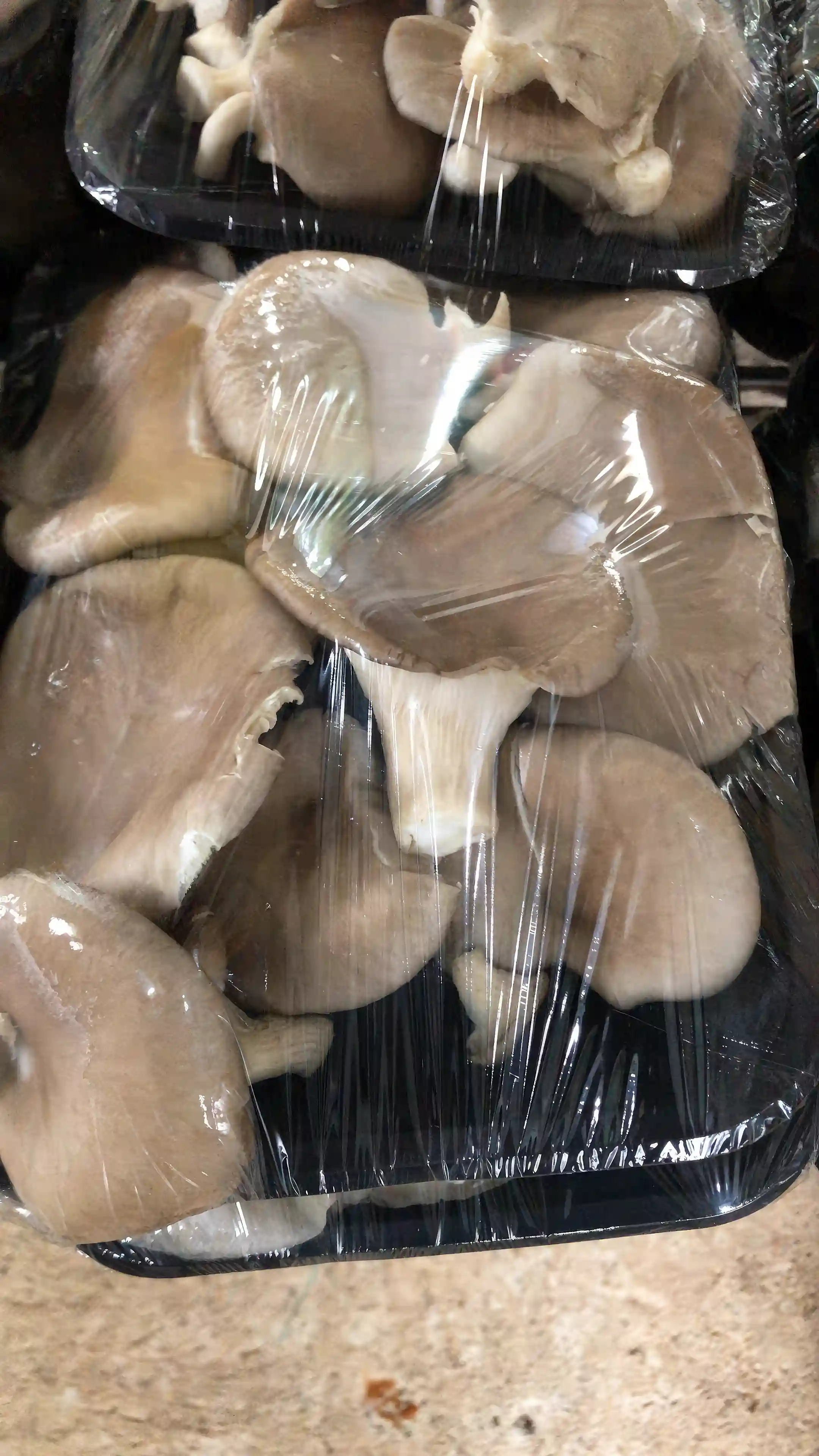 Packaged Oyster Mushrooms