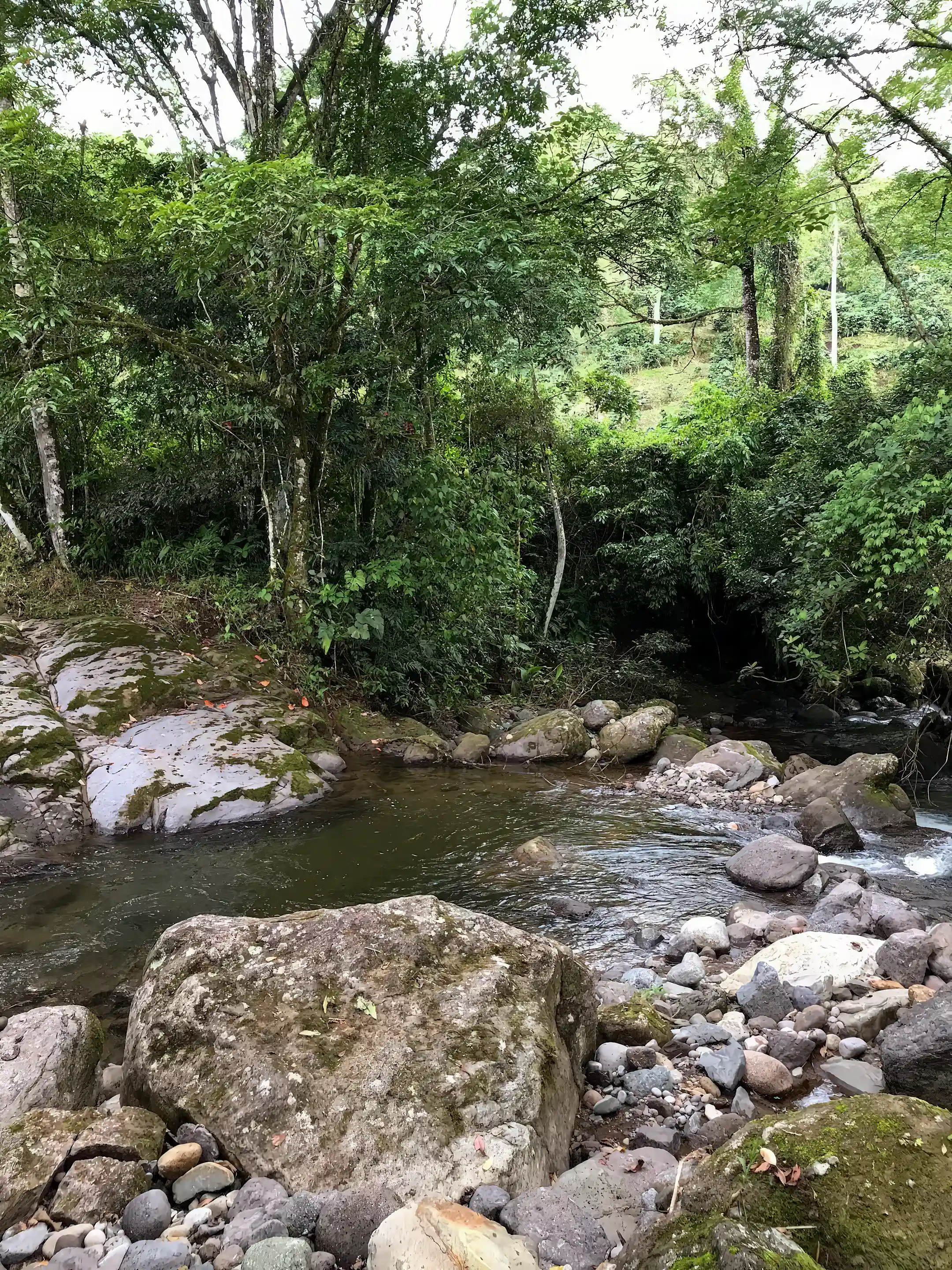 View of river