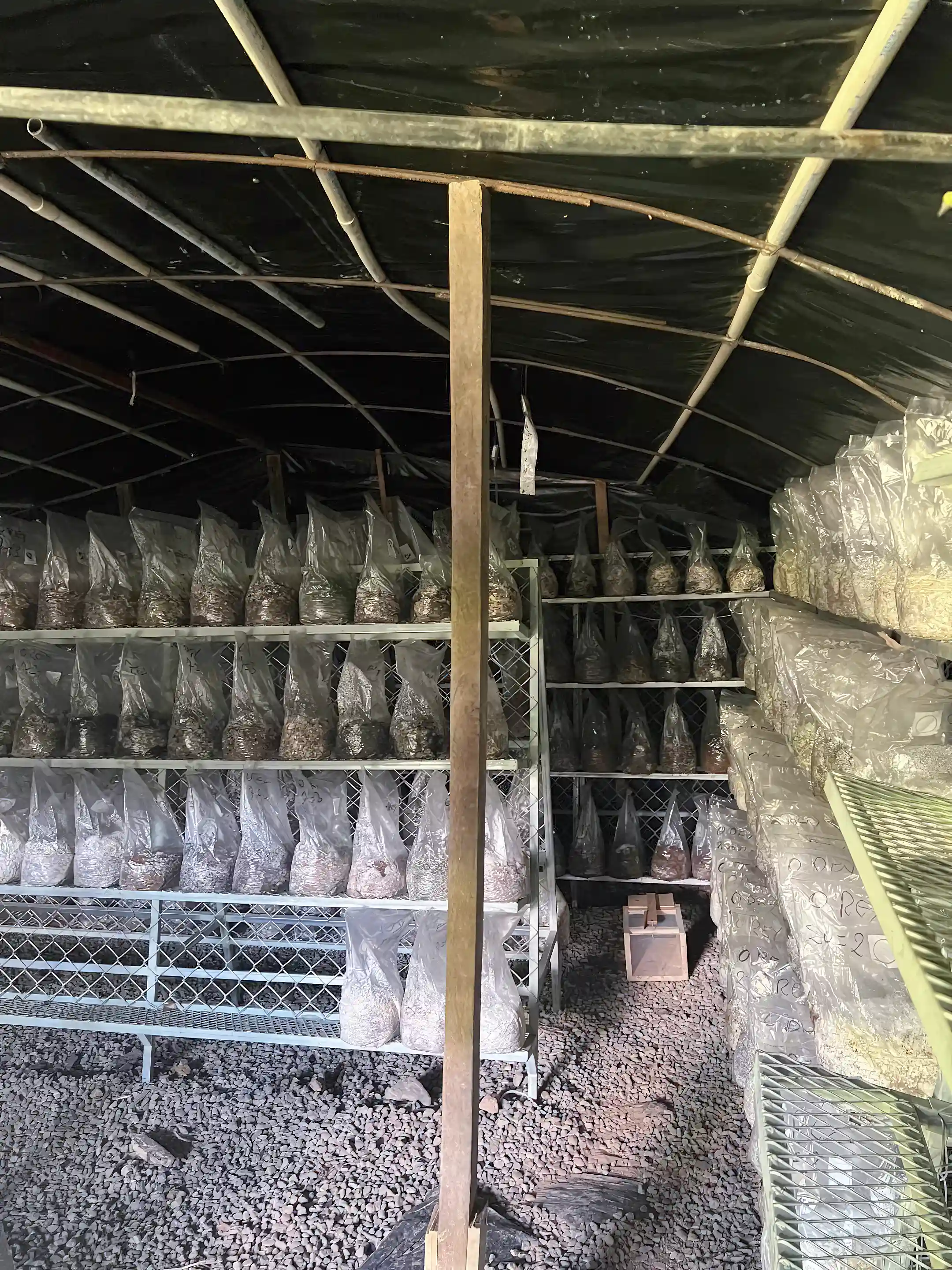 An incubation space
