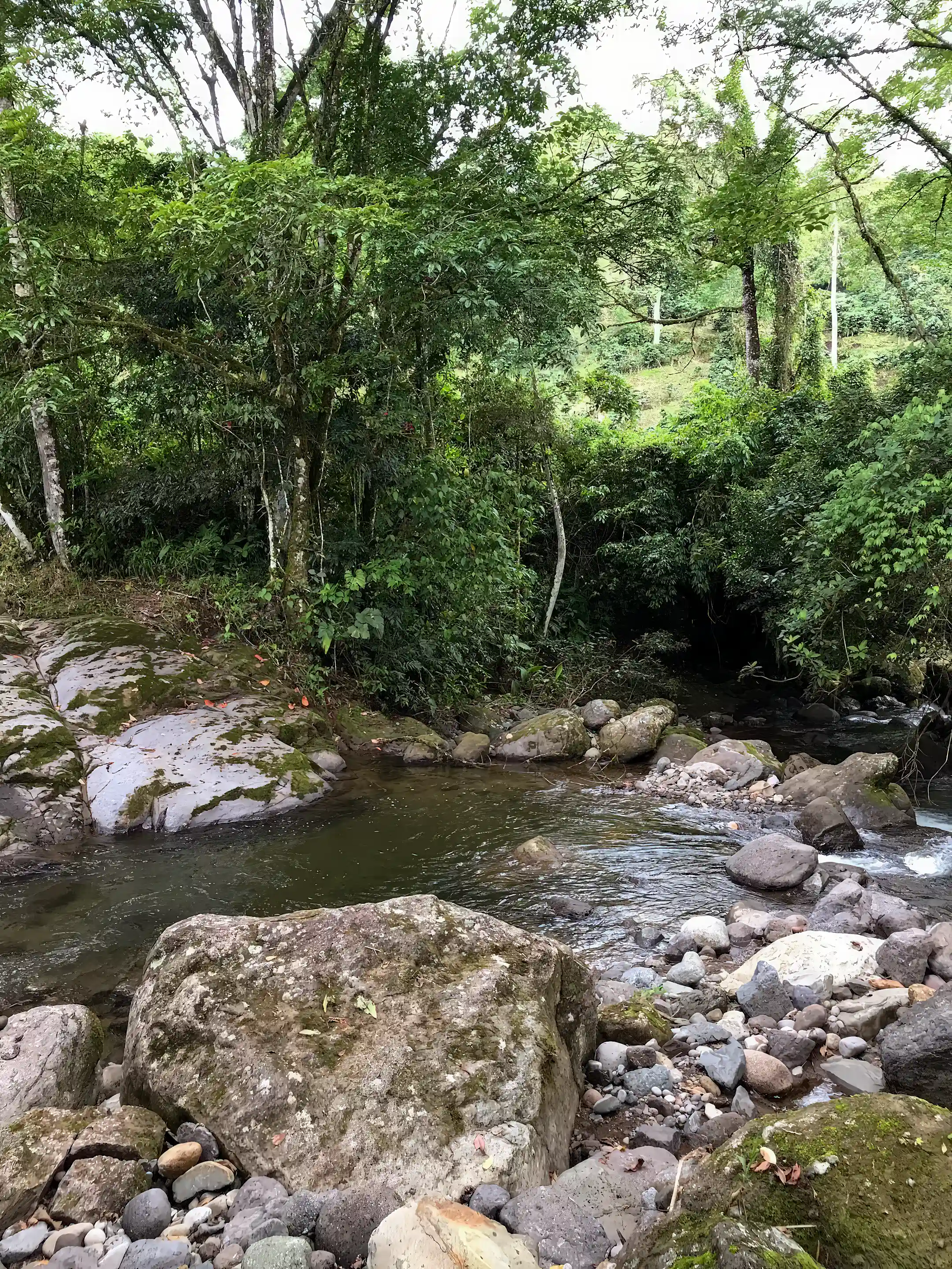 River view