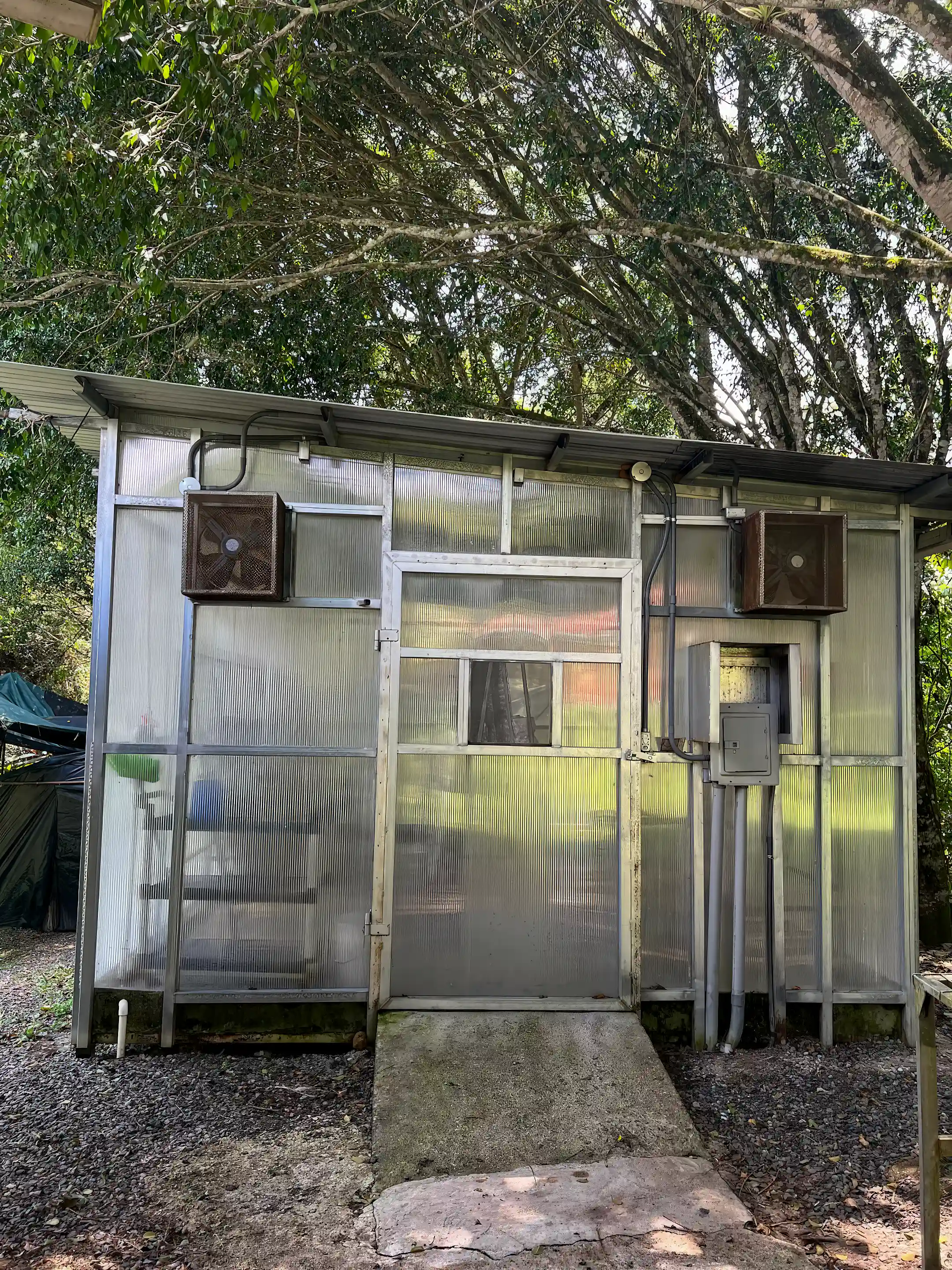 Frontal view of mushroom grow house