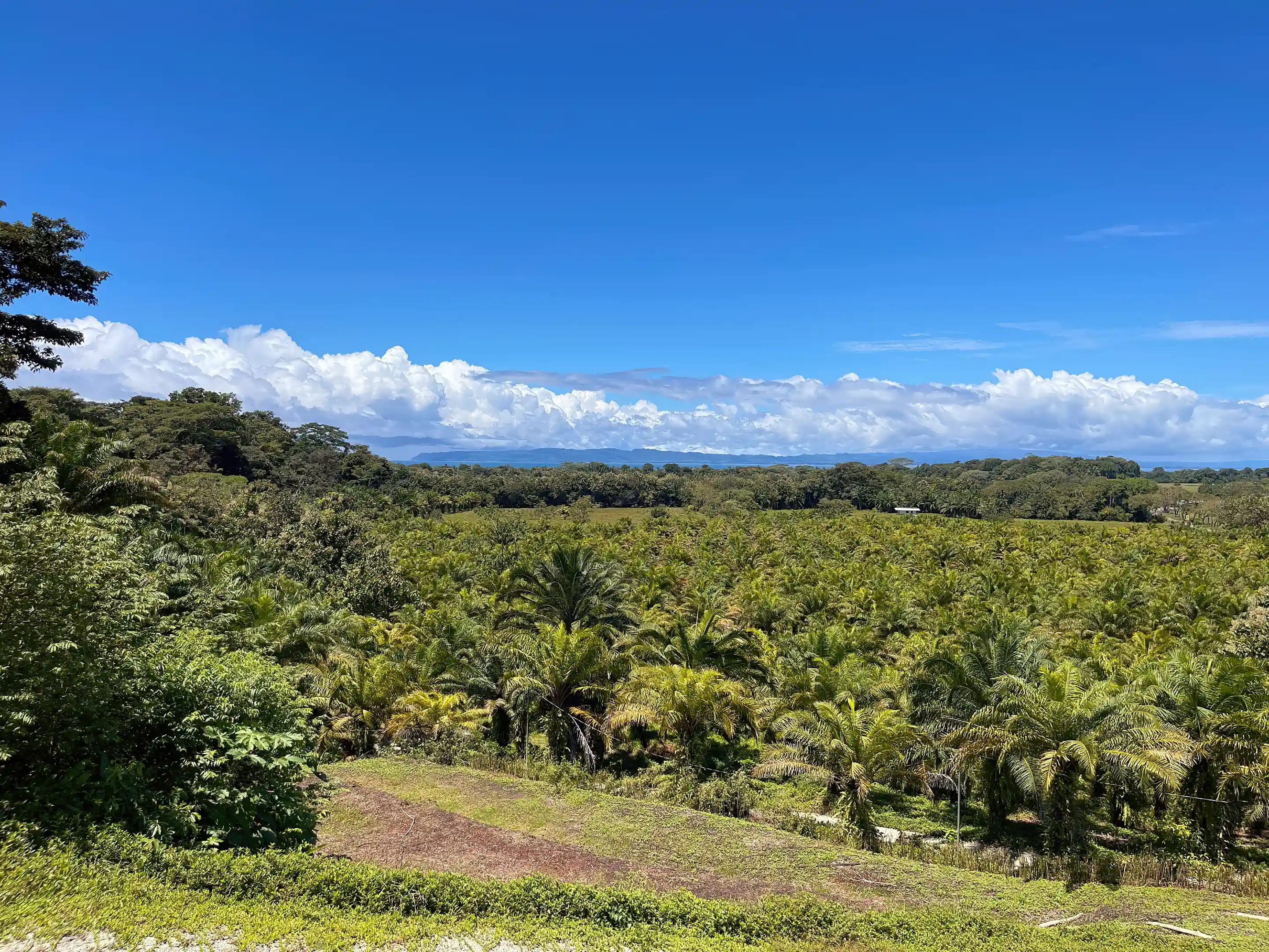 Ocean View Lot for Sale in 200M De La Calle Zancudo-Conte, La Virgen, Pavon, Golfito, Puntarenas, Costa Rica