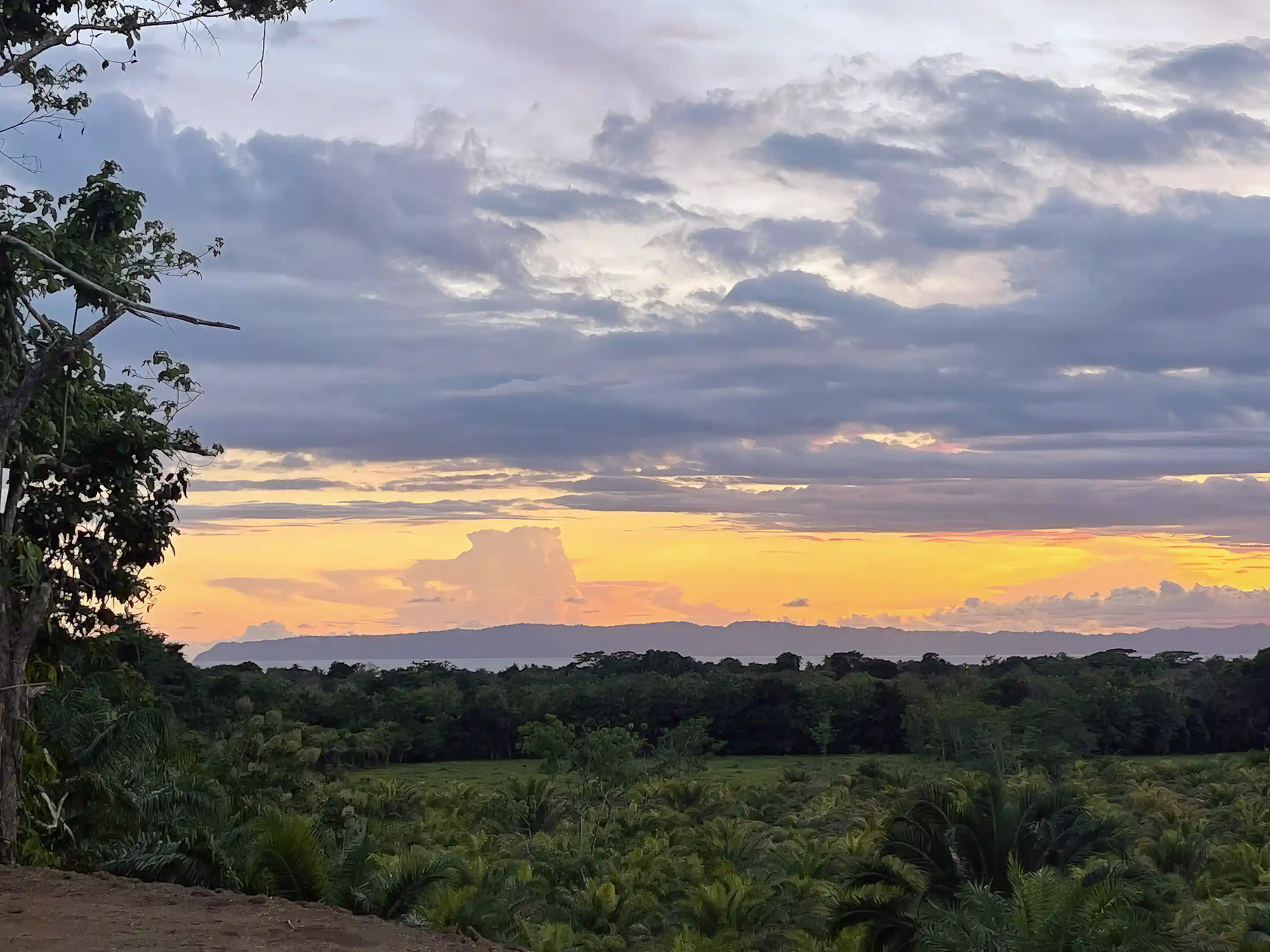 View of the Golfo Dulce