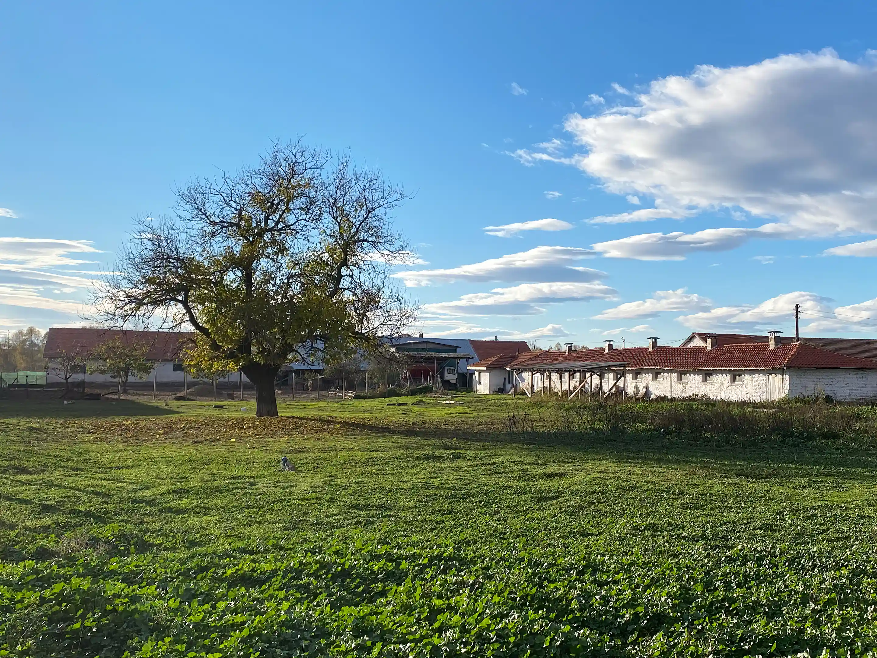 Industrial Property for Sale in Lenin 47, Choba, Brezovo, Plovdiv, Bulgaria
