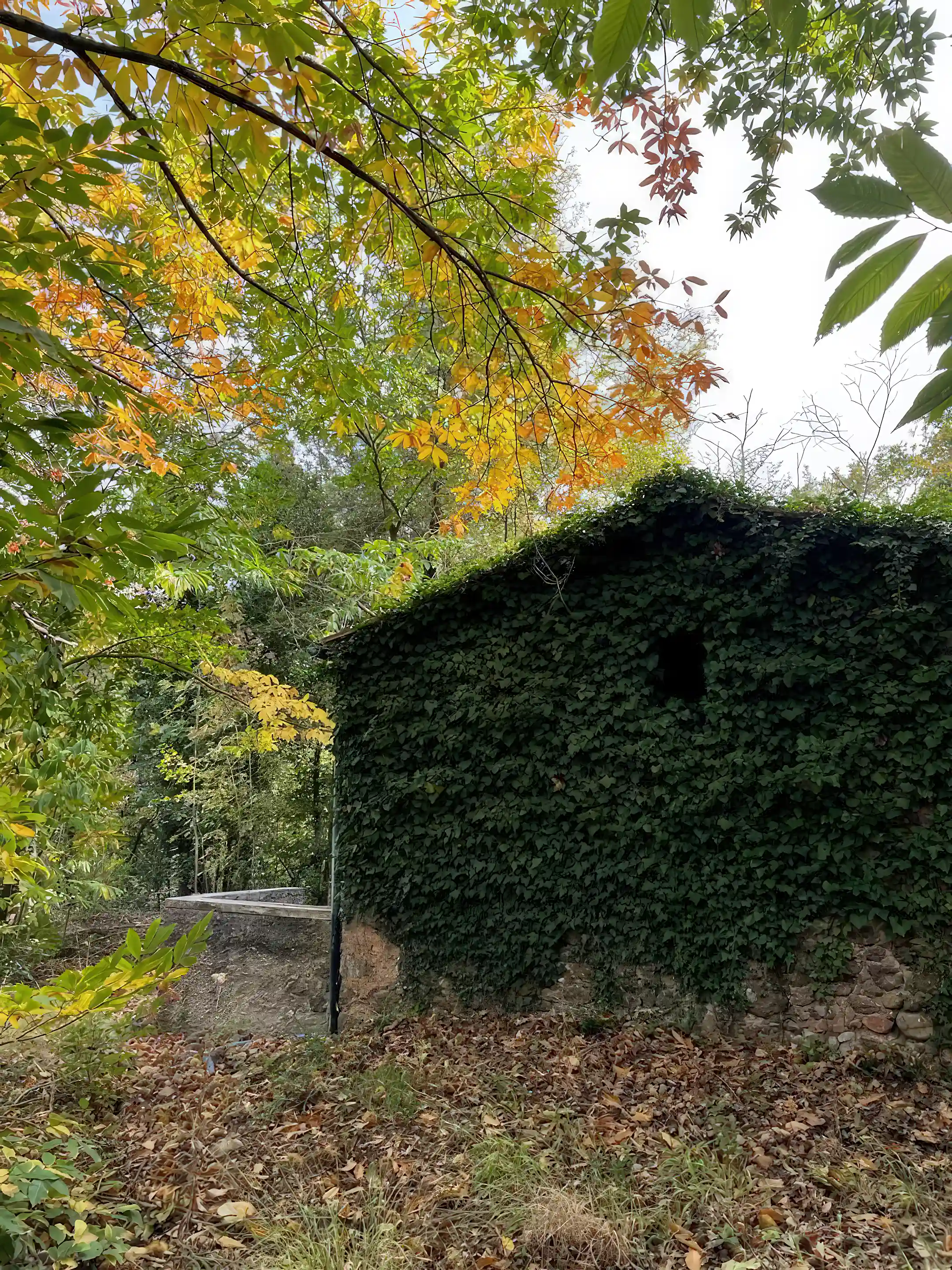 Stone drying building, chesnut grove