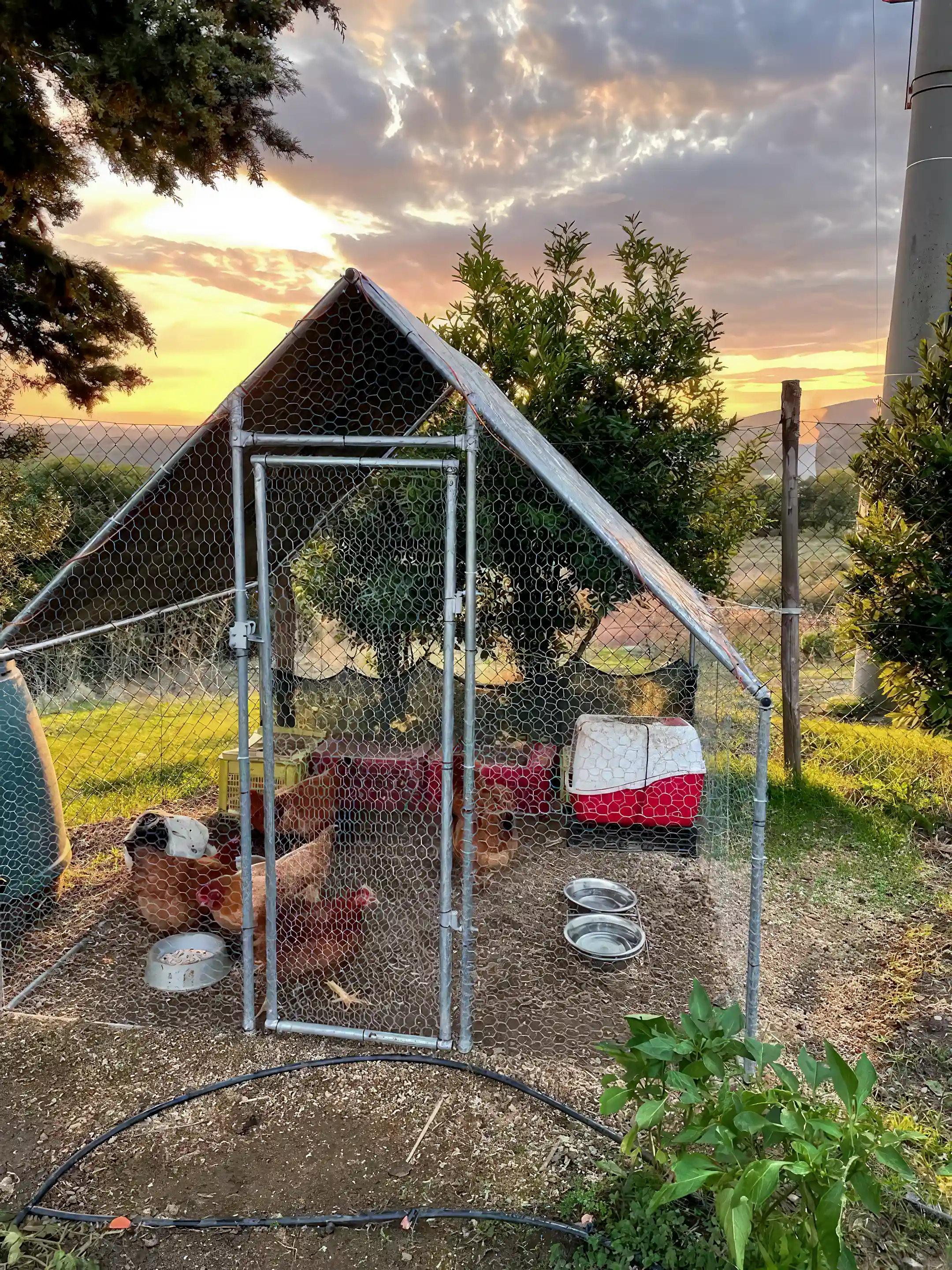 Chicken coop