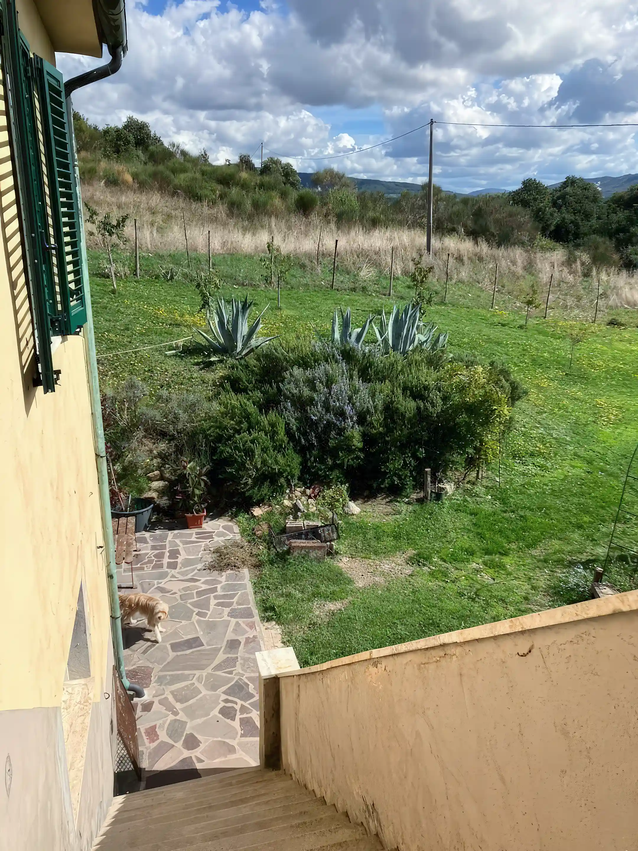 Main house garden