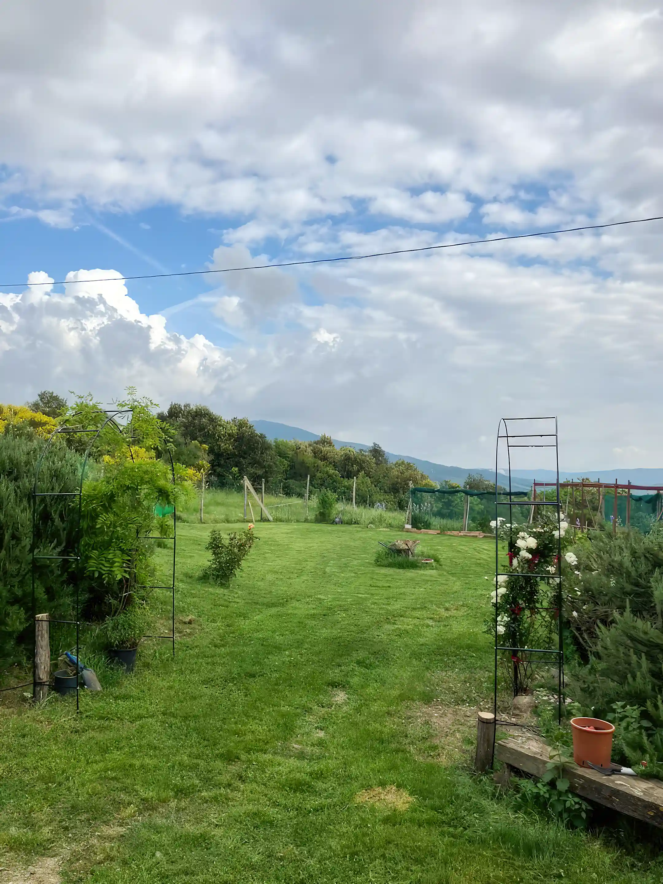 Garden looking toward the estate