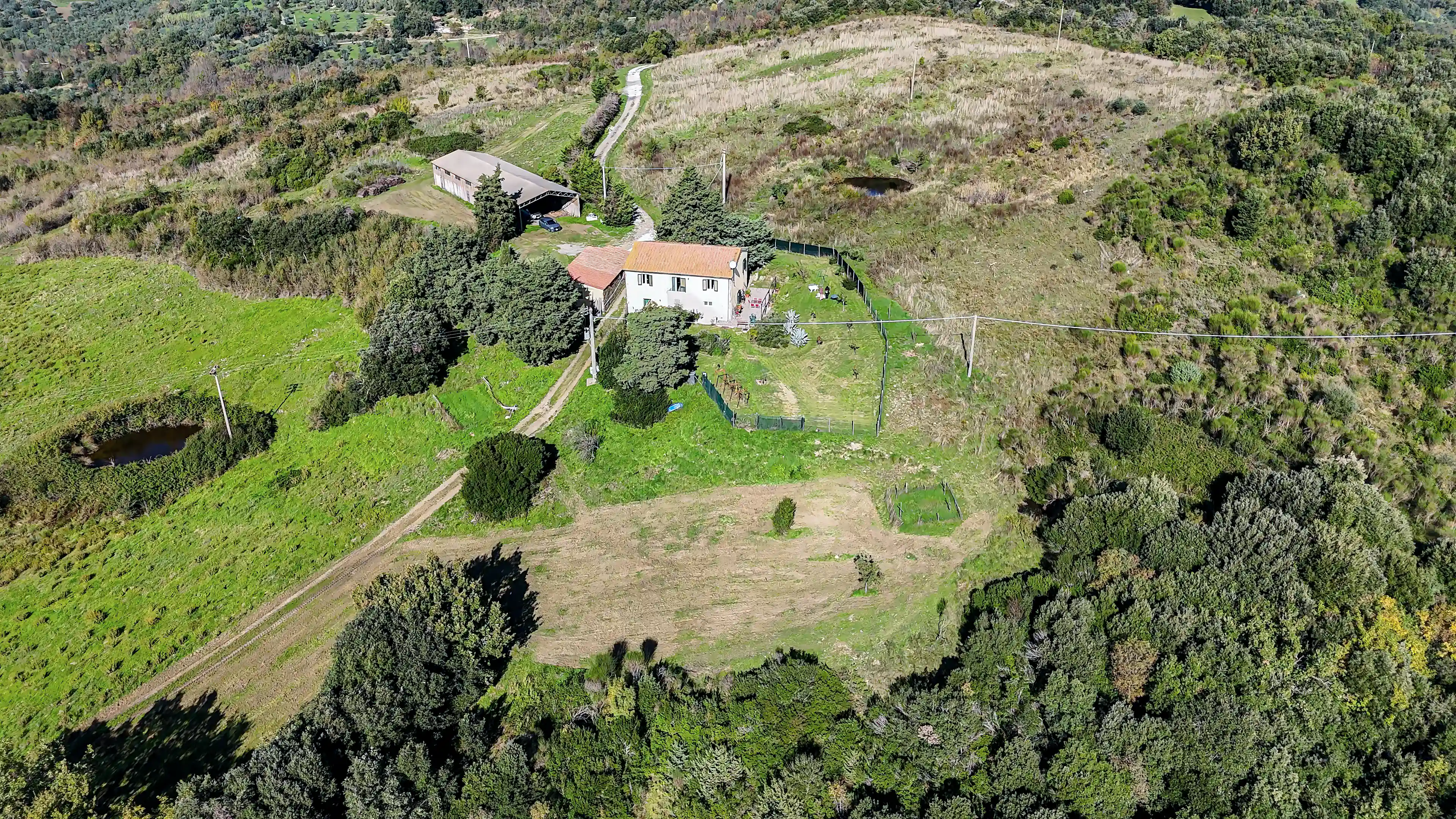 Tuscan Estate / Olive Oil Farm for Sale in Serrazzano, Pomarance, Pisa, Tuscany, Italy