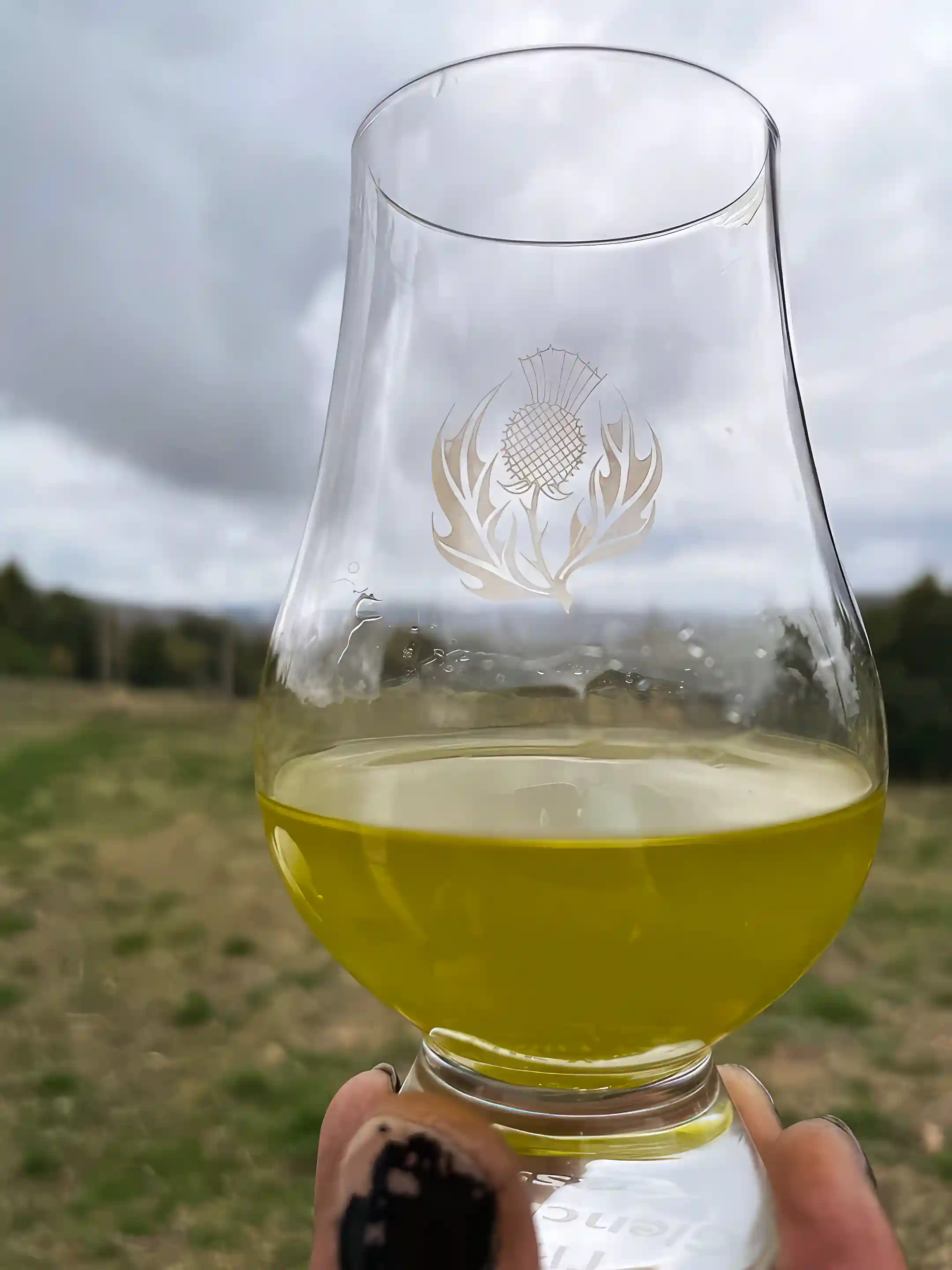 TRATTi Olive Oil, first press, 2018