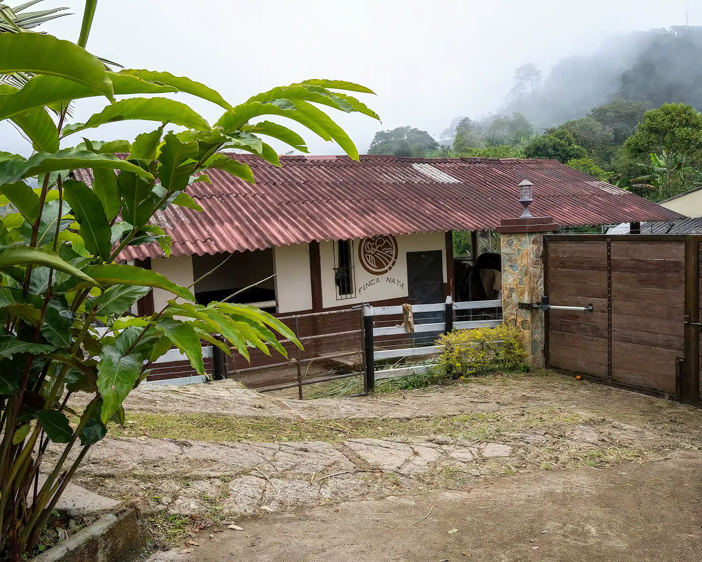Stables