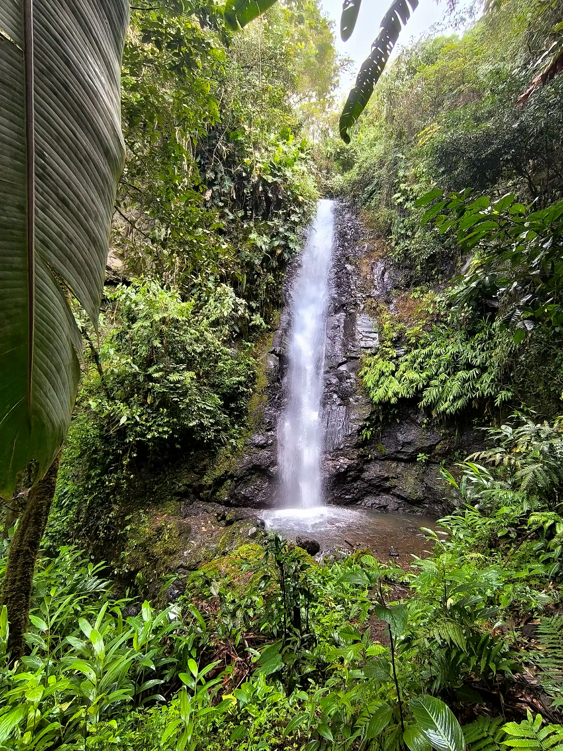 One of several waterfalls on the property, approximately 20 meters...