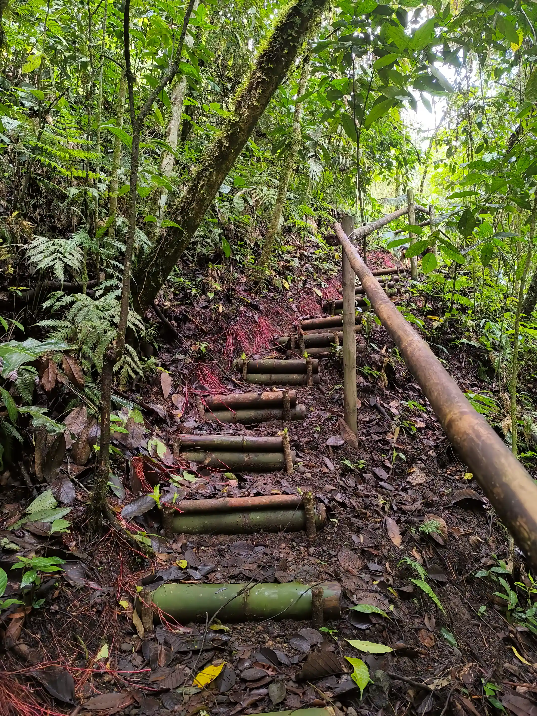 Stairs to "Nayagara Waterfalls"