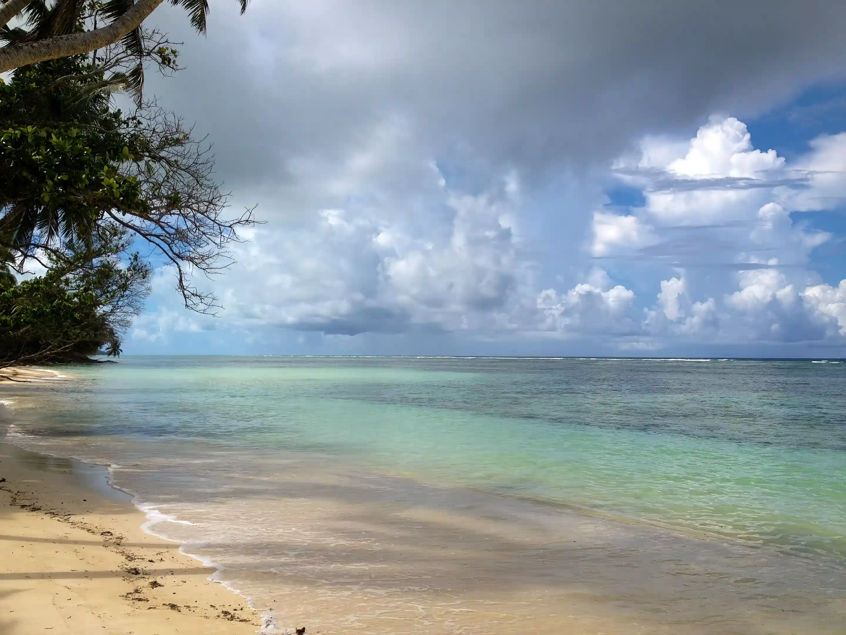 Pristing Clear Waters inside Coral Reef