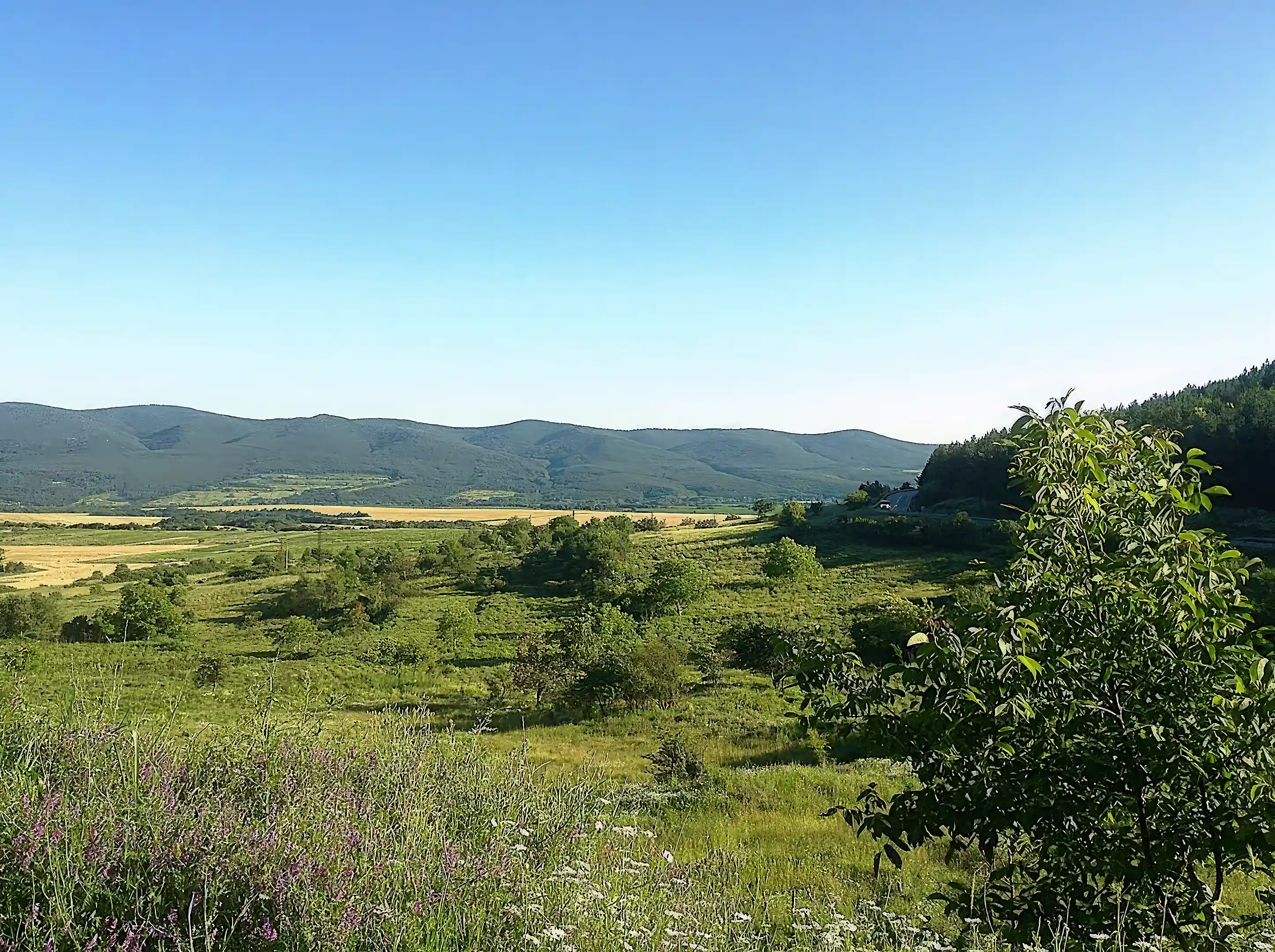 Land for Sale in Chashka, Prilep, Dobrich, Bulgaria