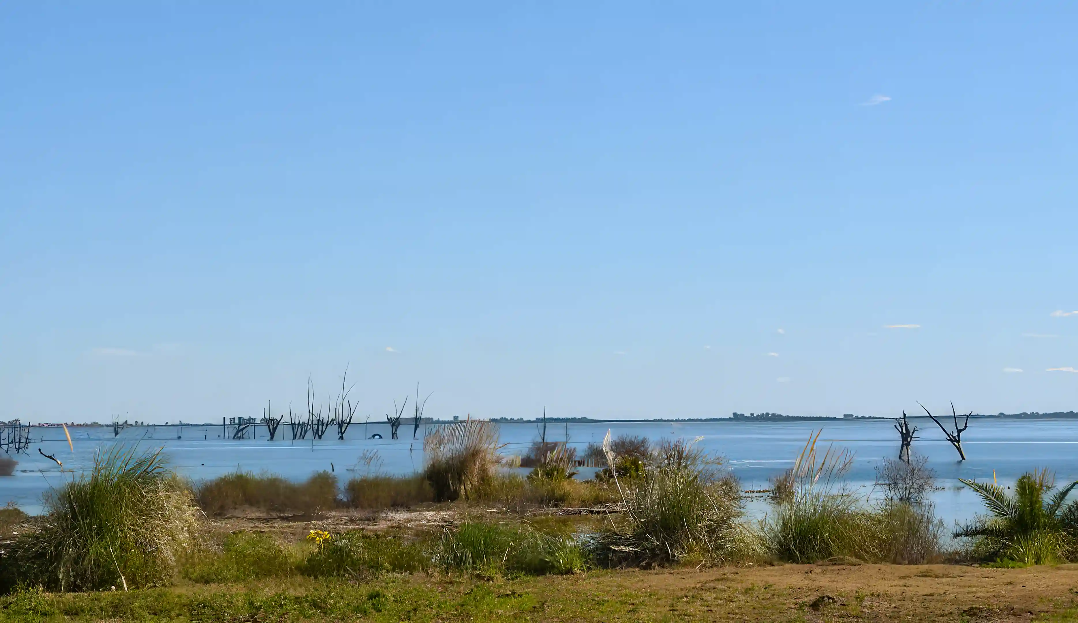 Land for Sale in San Justo, Cordoba Province, Argentina