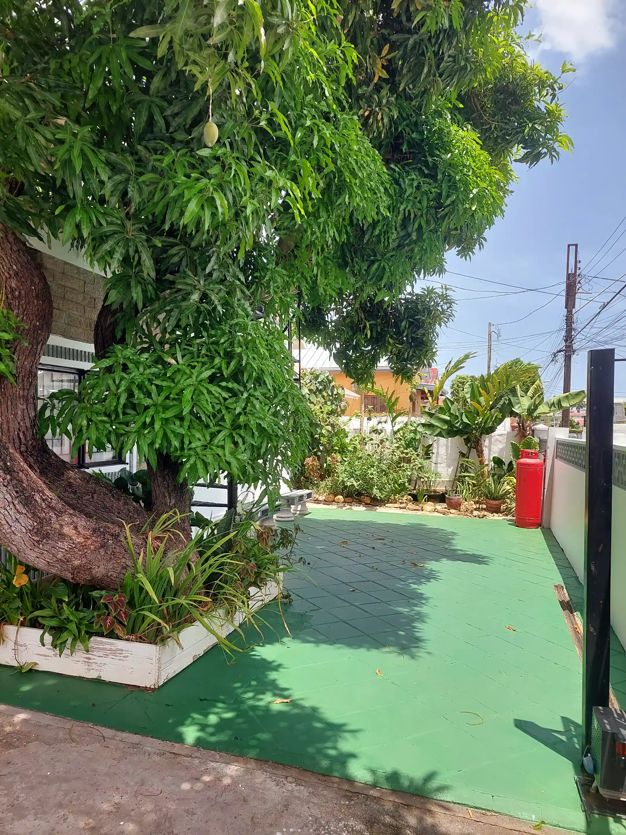 Front courtyard with garden on the south boundary