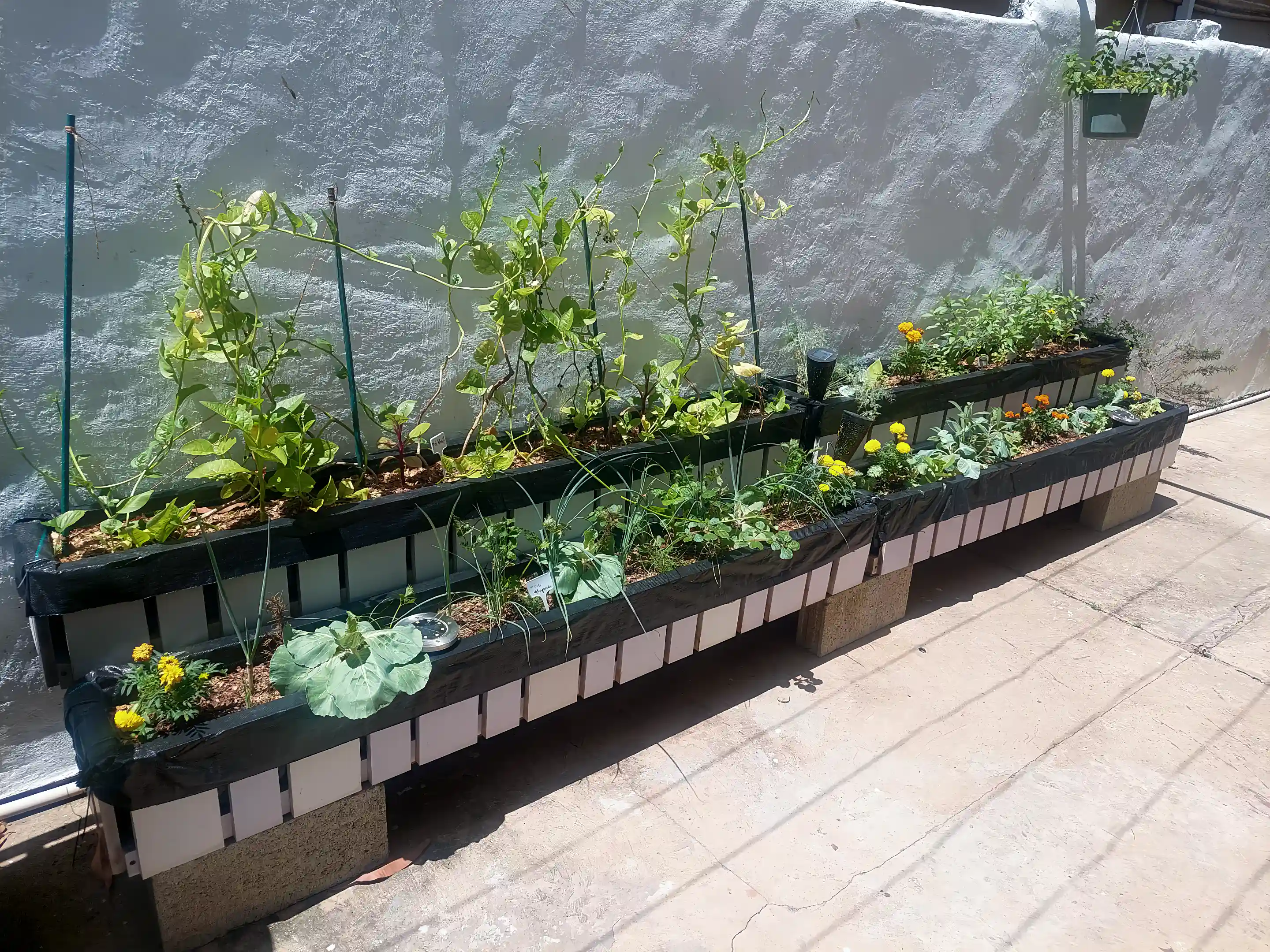 Organic herb and vegetable garden on the south side of...
