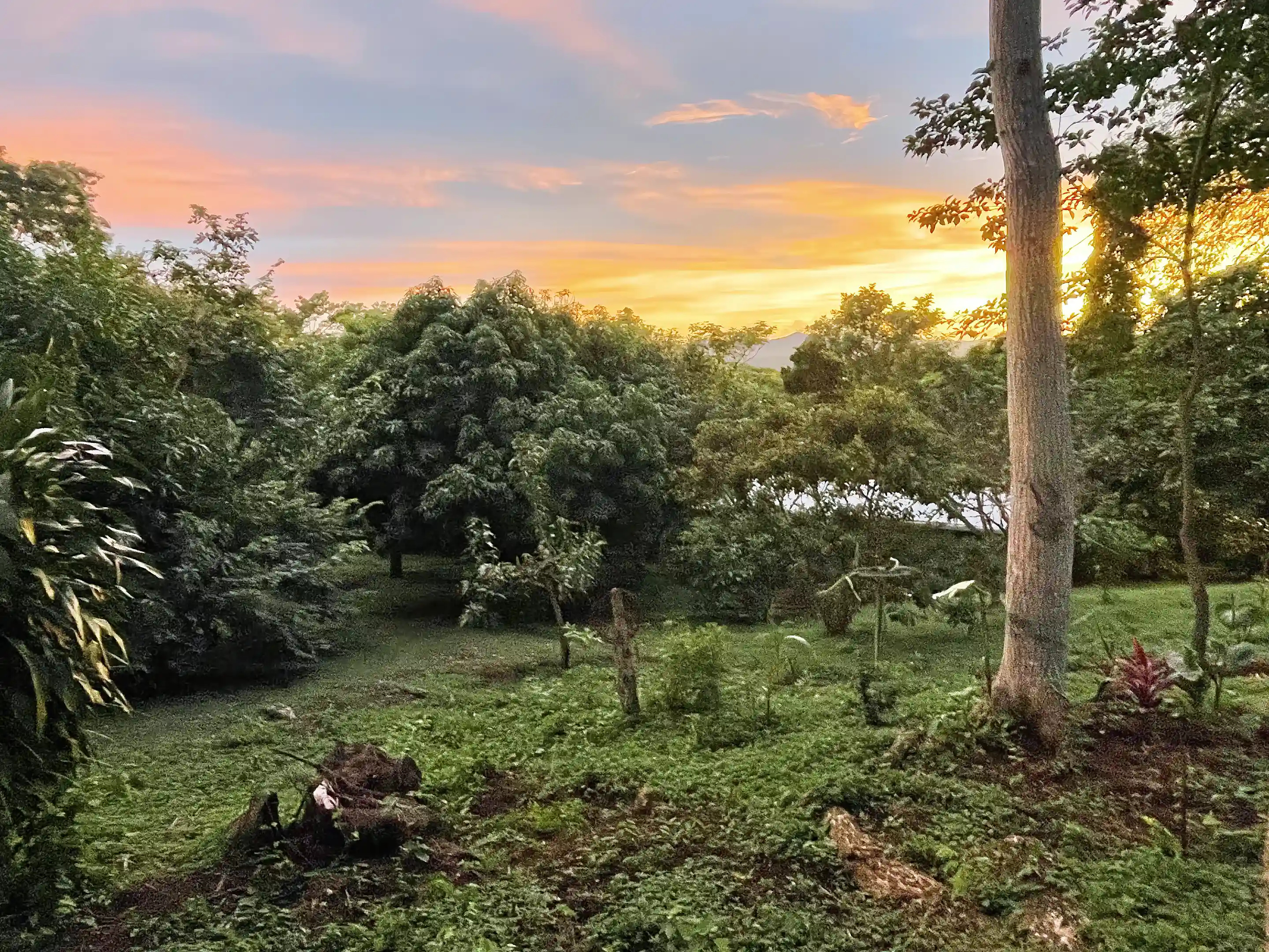 Small Farm for Sale in Volcan Mombacho, Reserva Mombacho, Diriomo ...