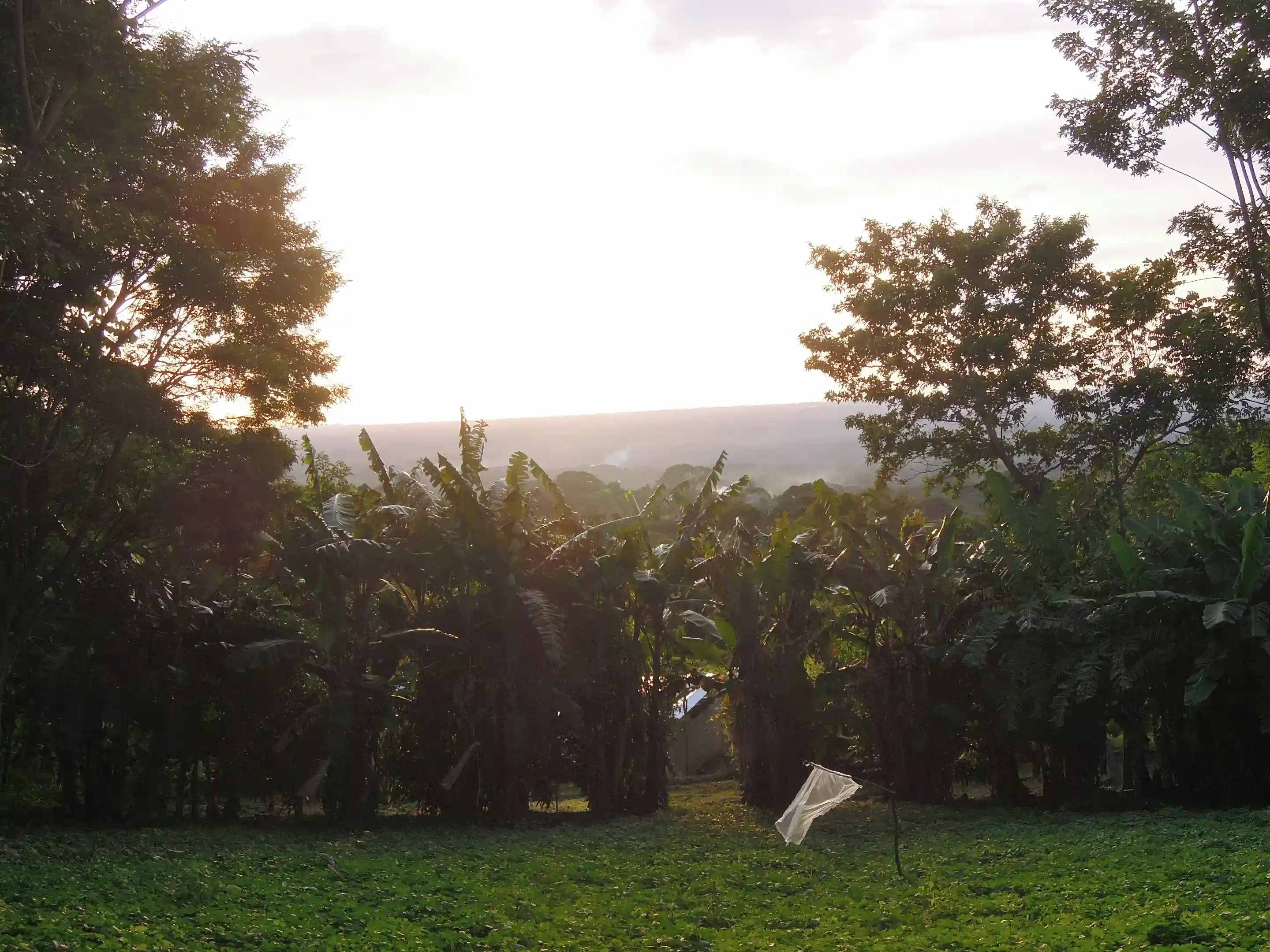 Small Farm for Sale in Volcan Mombacho, Reserva Mombacho, Diriomo ...