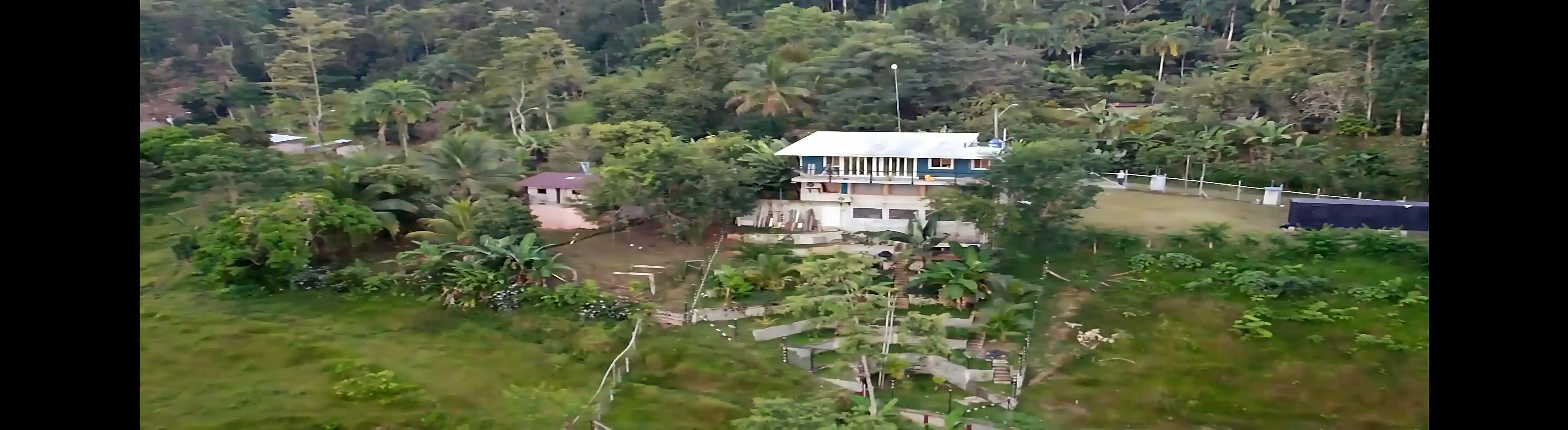 Drone View of Backyard & Terraced Gardens
Short: Drone view of...