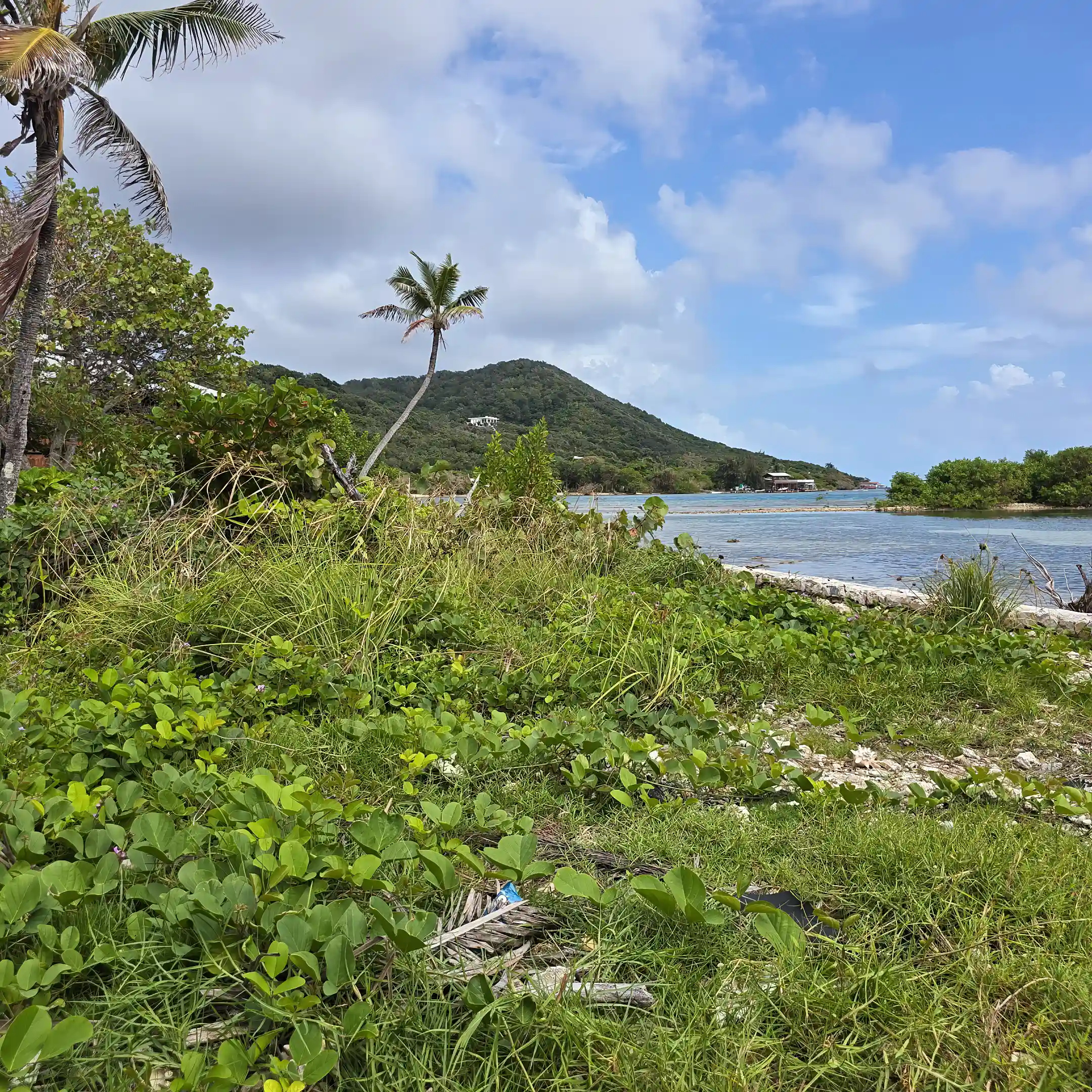 Roatan Water front property for sale By Alexander construction