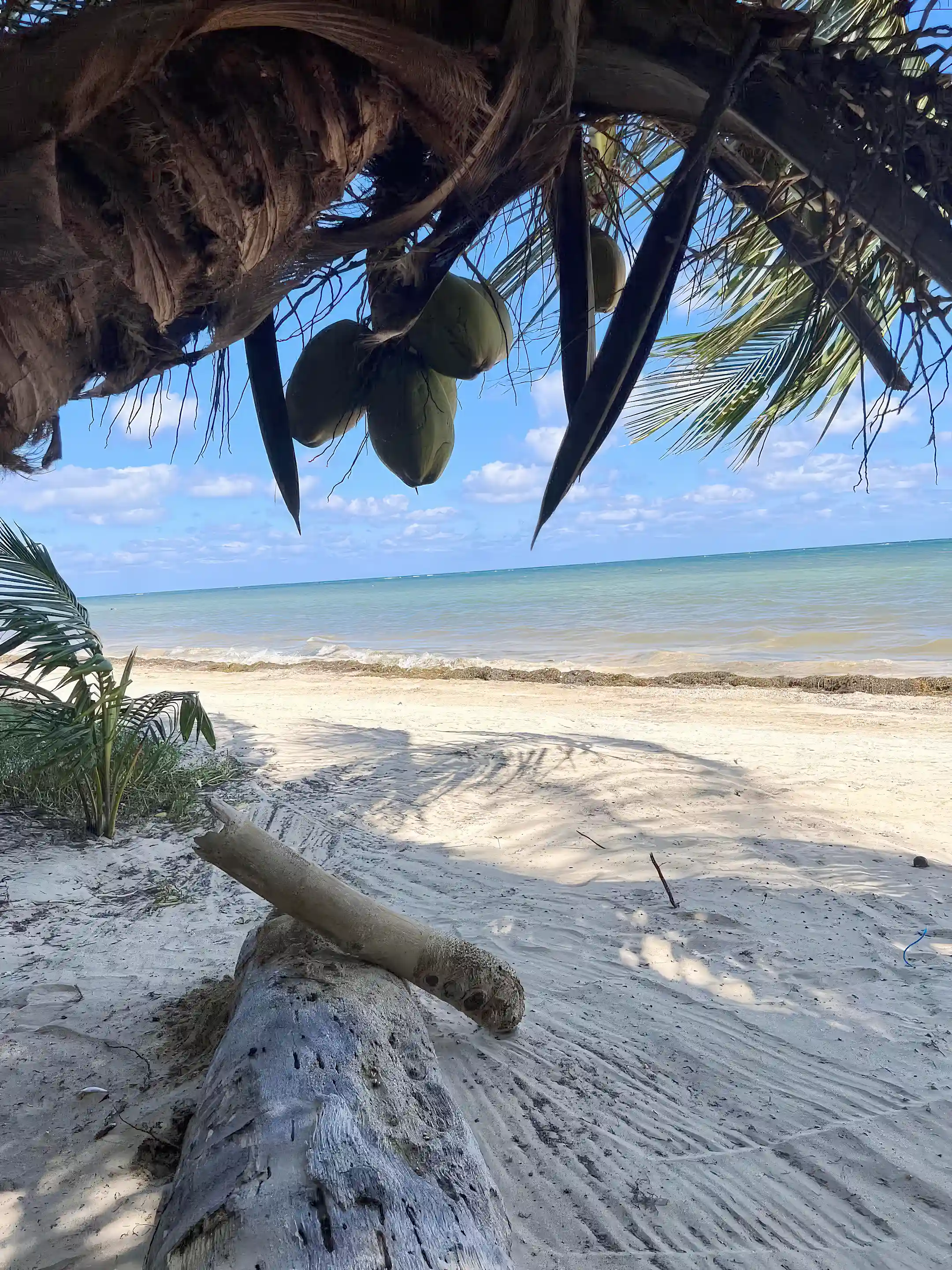 Beachfront Home for Sale in Mahahual-Xcalak Coastal Road, Km 6.5 South Beach, Mahahual, Othon P. Blanco, Quintana Roo, Mexico
