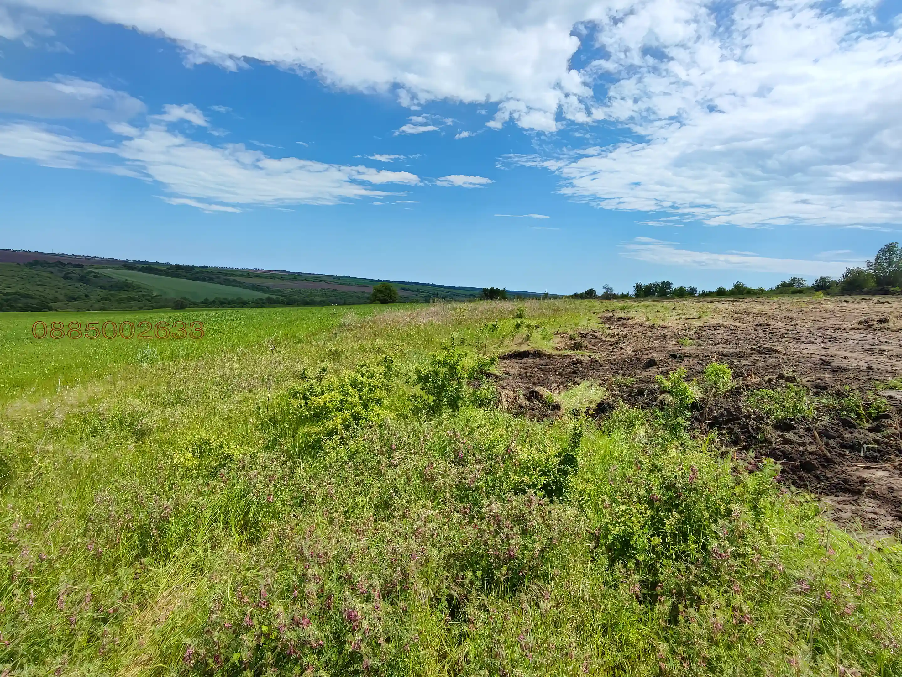 Regulated Residential Plot for Sale in Bolyartsi, Benkovski, Avren, Varna, Bulgaria