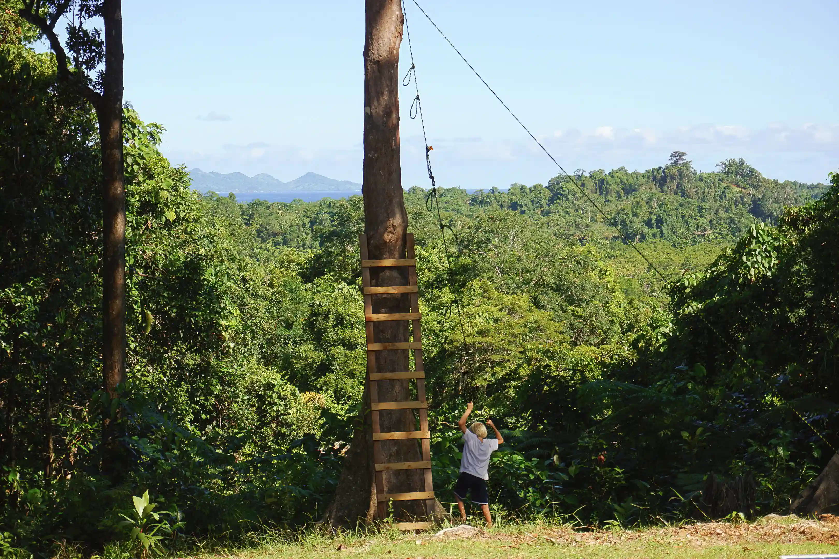 50m above sea level