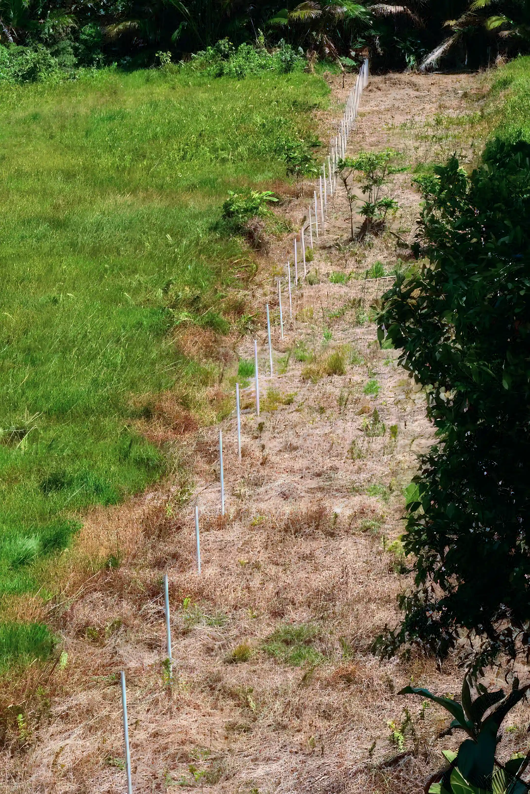 East fence line