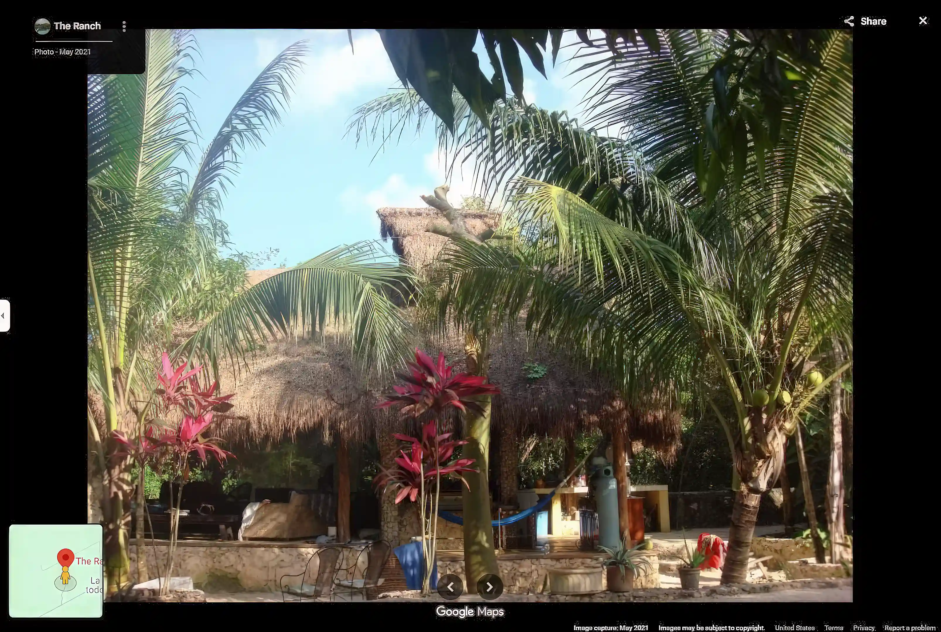 Palapa 2016