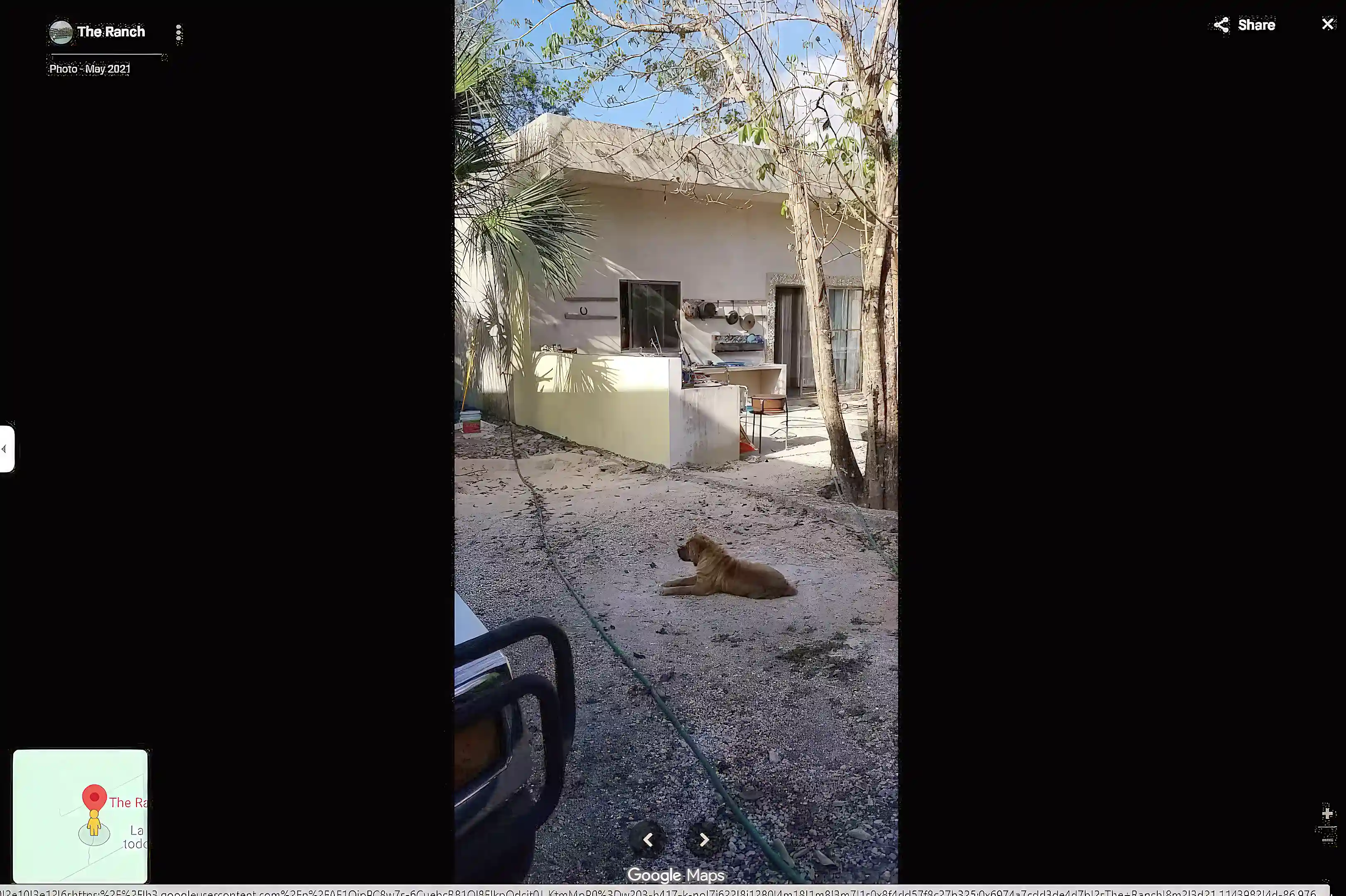 This is from my driveway and looking toward the outdoor...