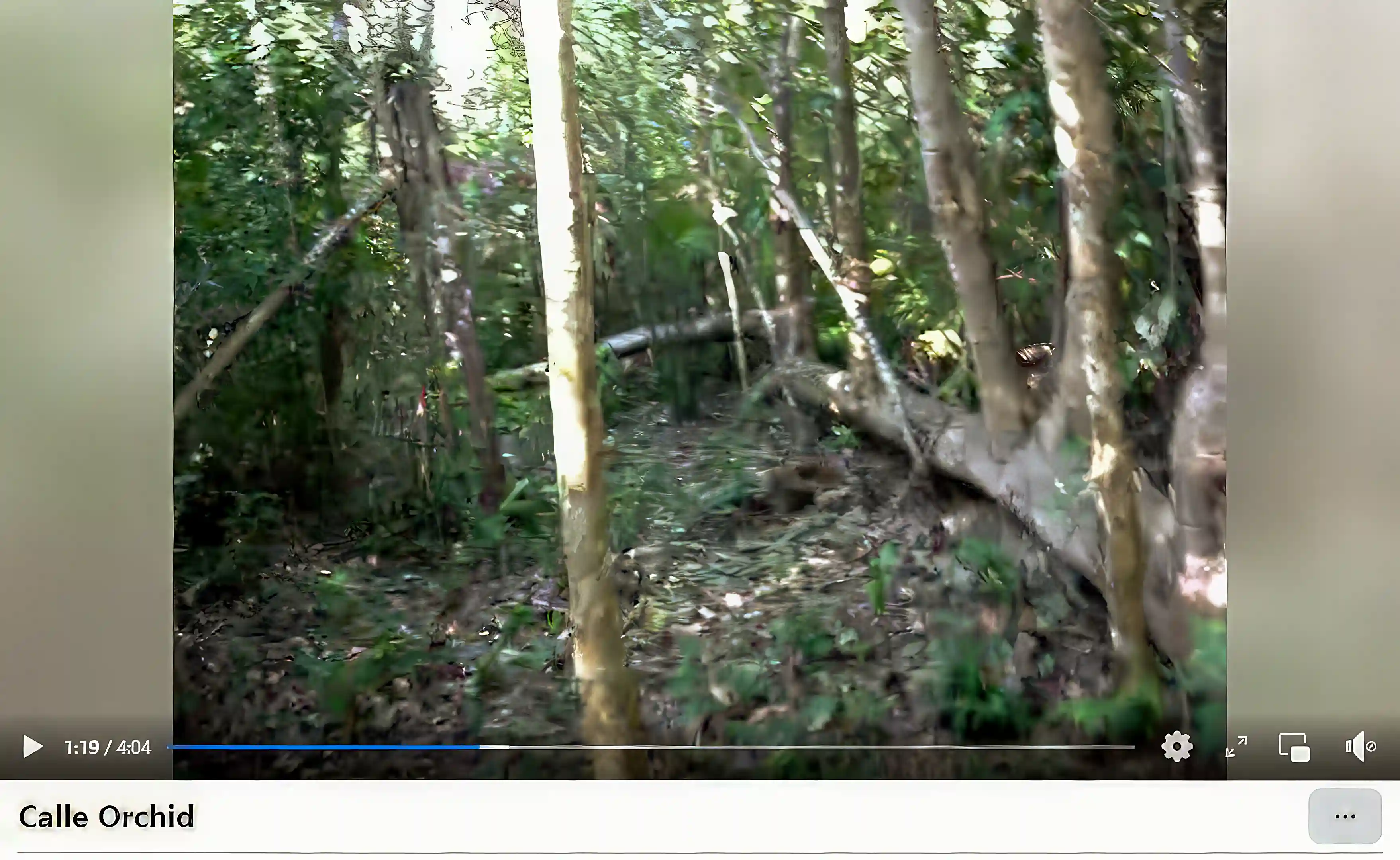 Still following the natural path. Screenshot during my video