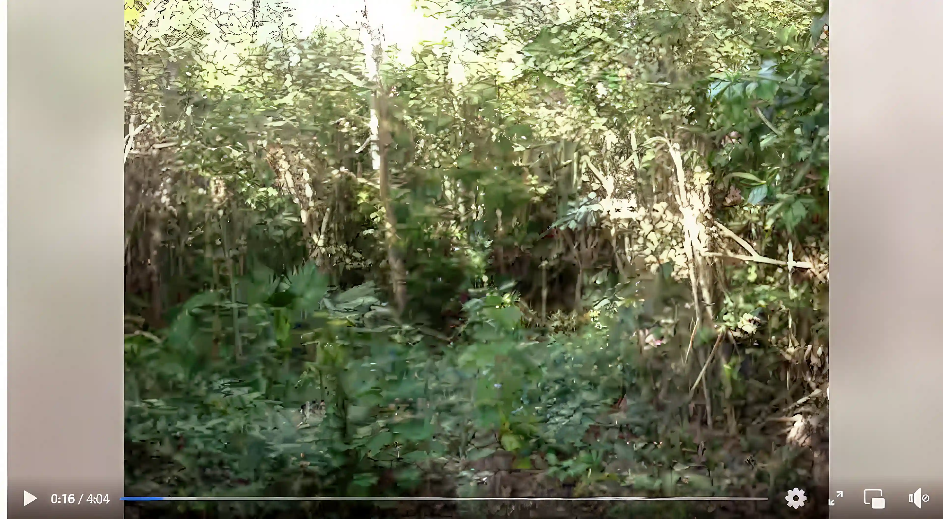 Screenshot during my video