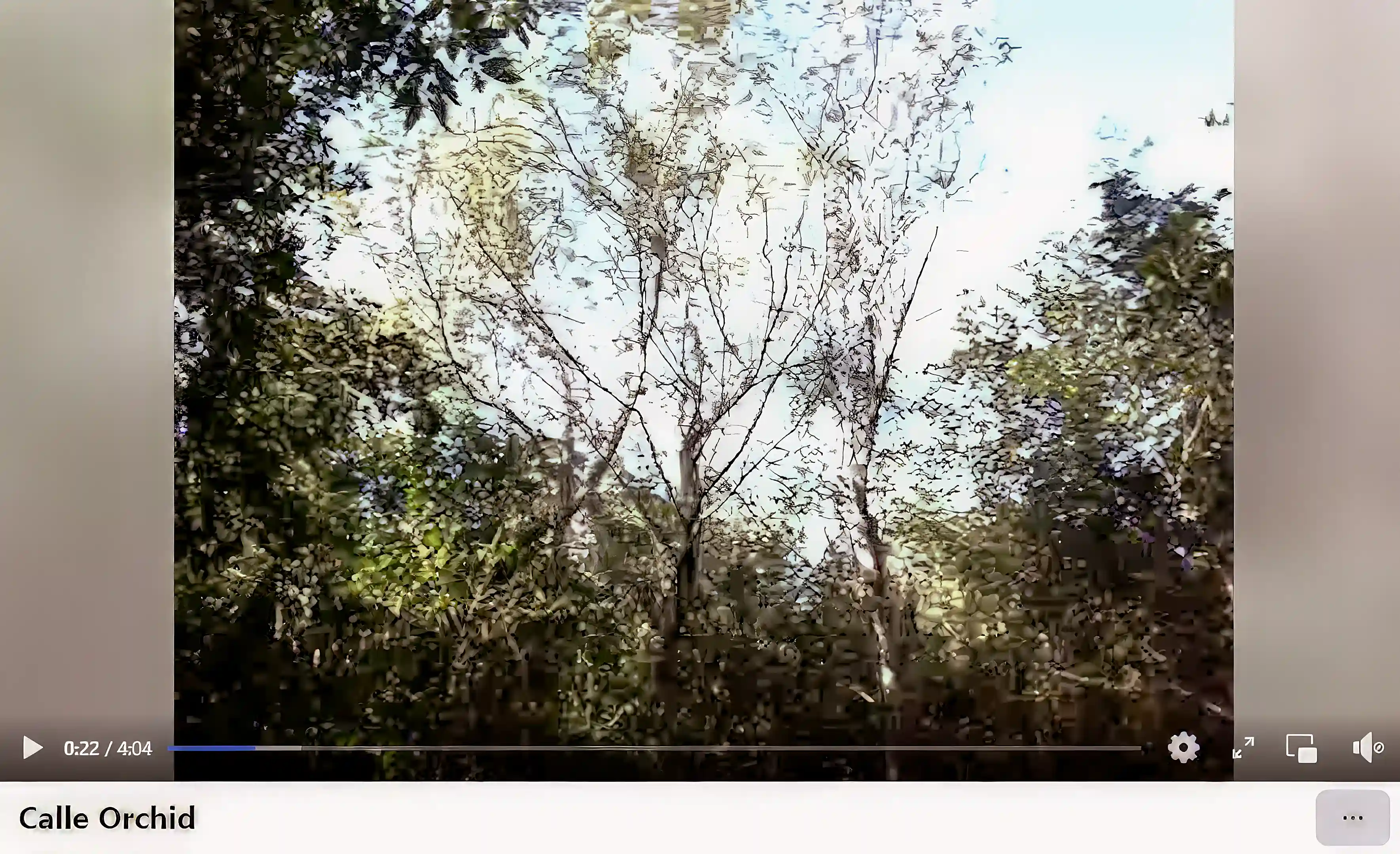 Screenshot during my video