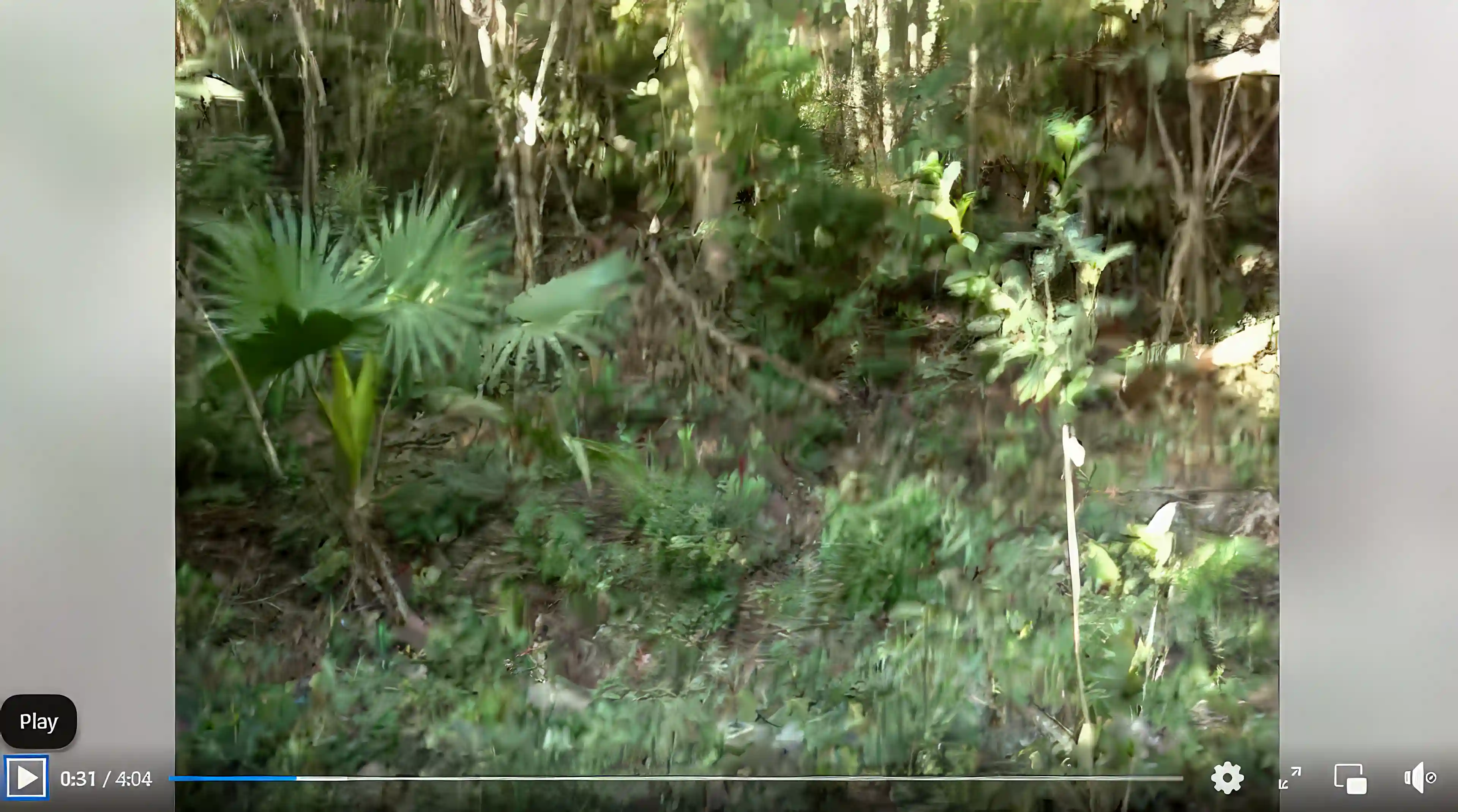 There is a natural path through this lot. Screenshot during...