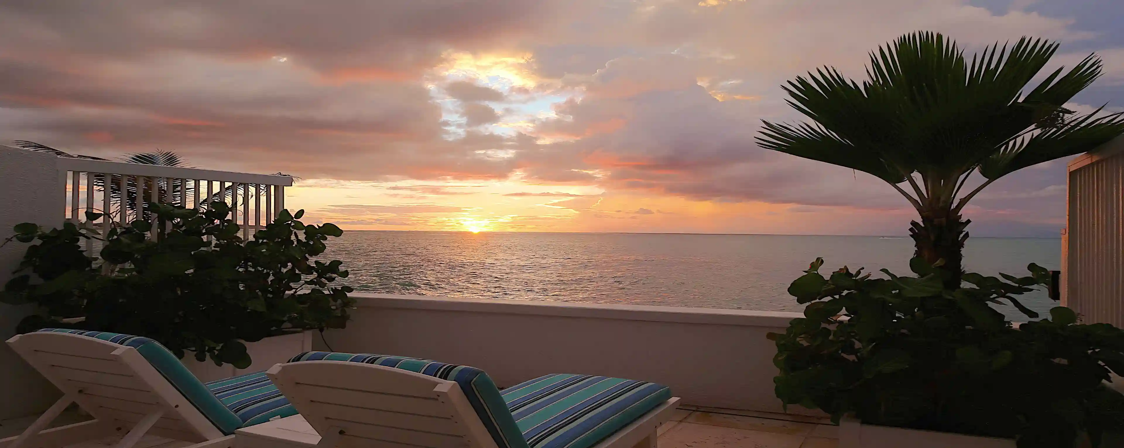 sunset view