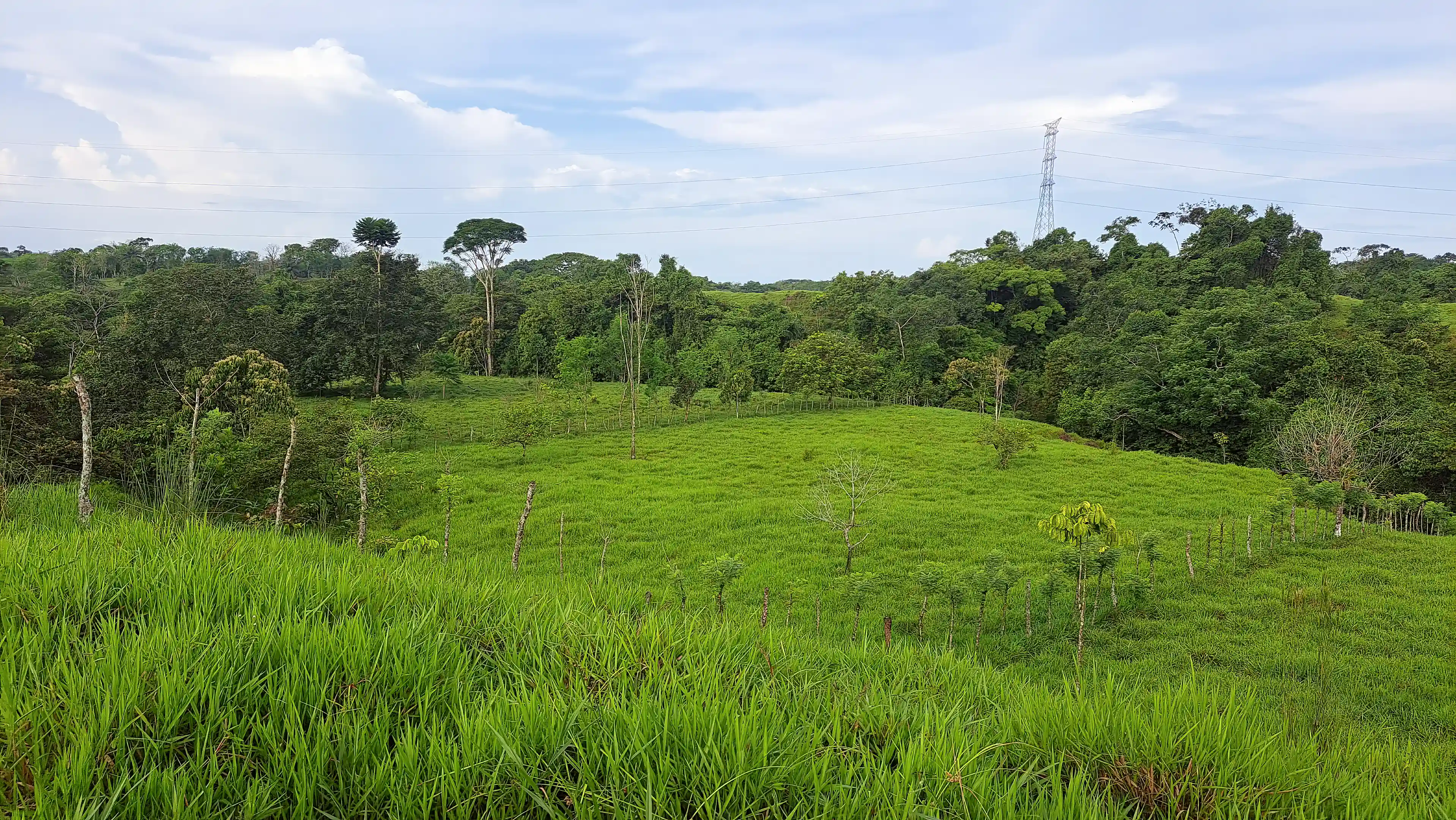 View from towards the river