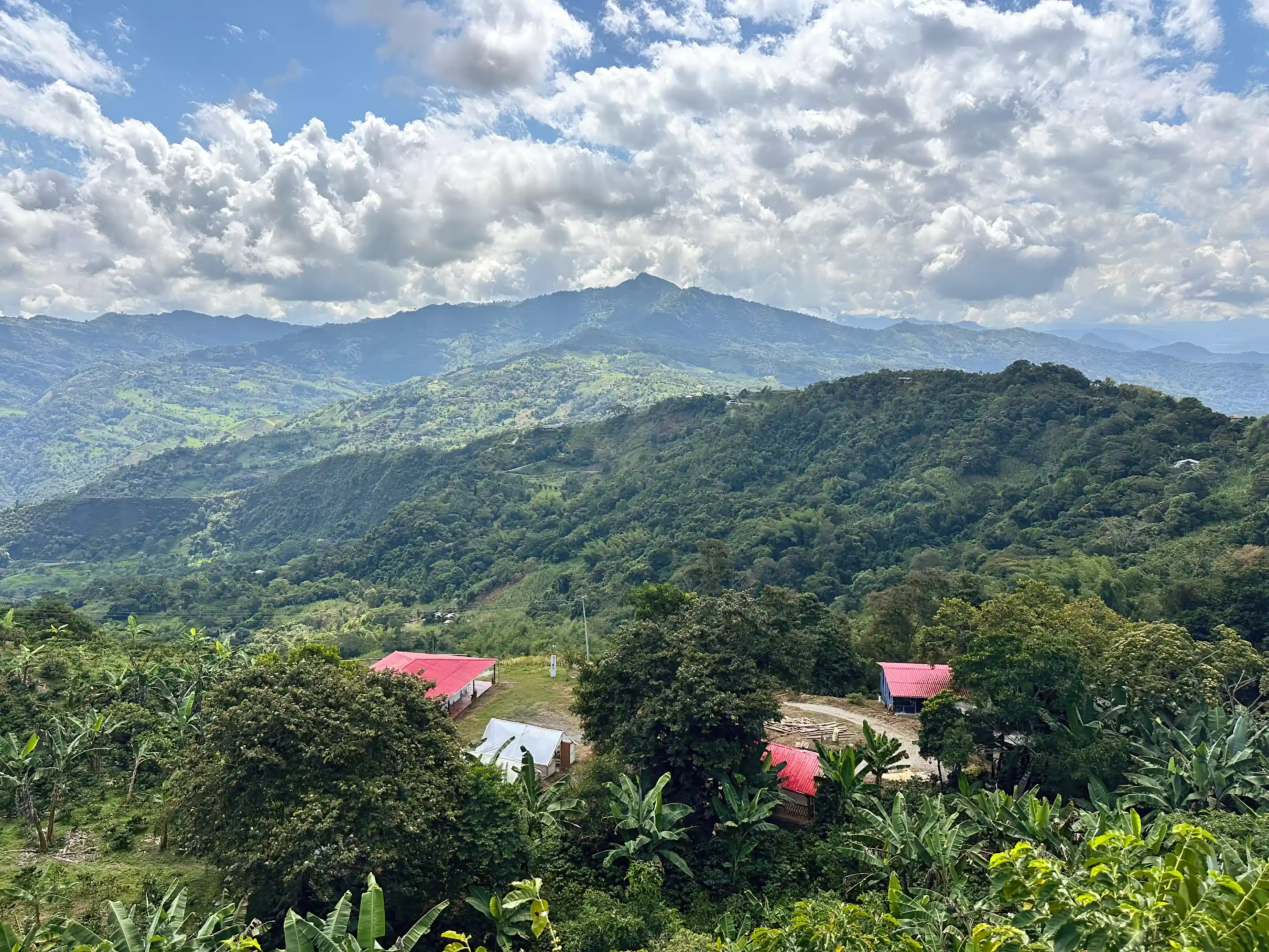 Specialty Coffe Farm for Sale in San Jose, Nocaima, Cundinamarca, Colombia