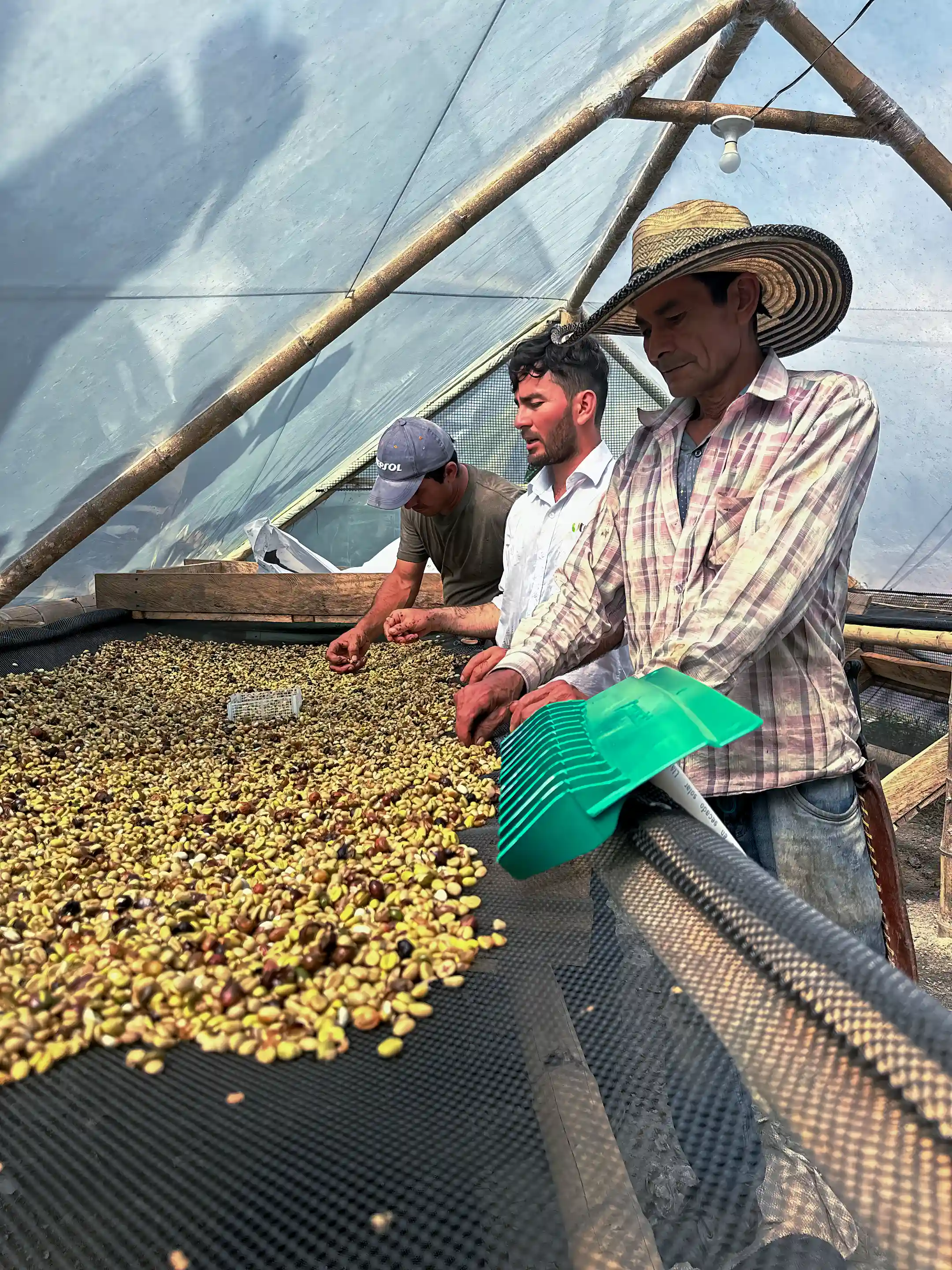 coffe process is all you need