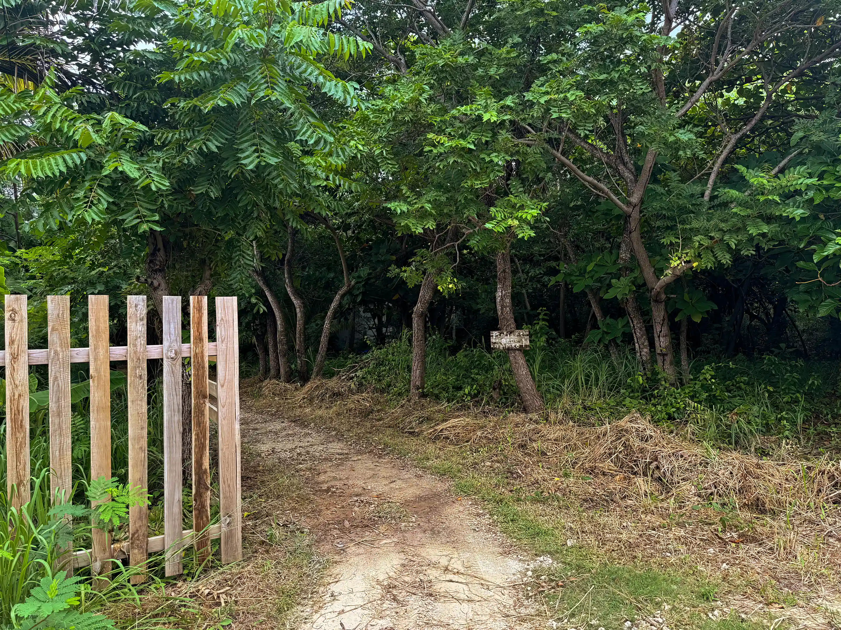 Down a private road. Two minute walk to the beach!
