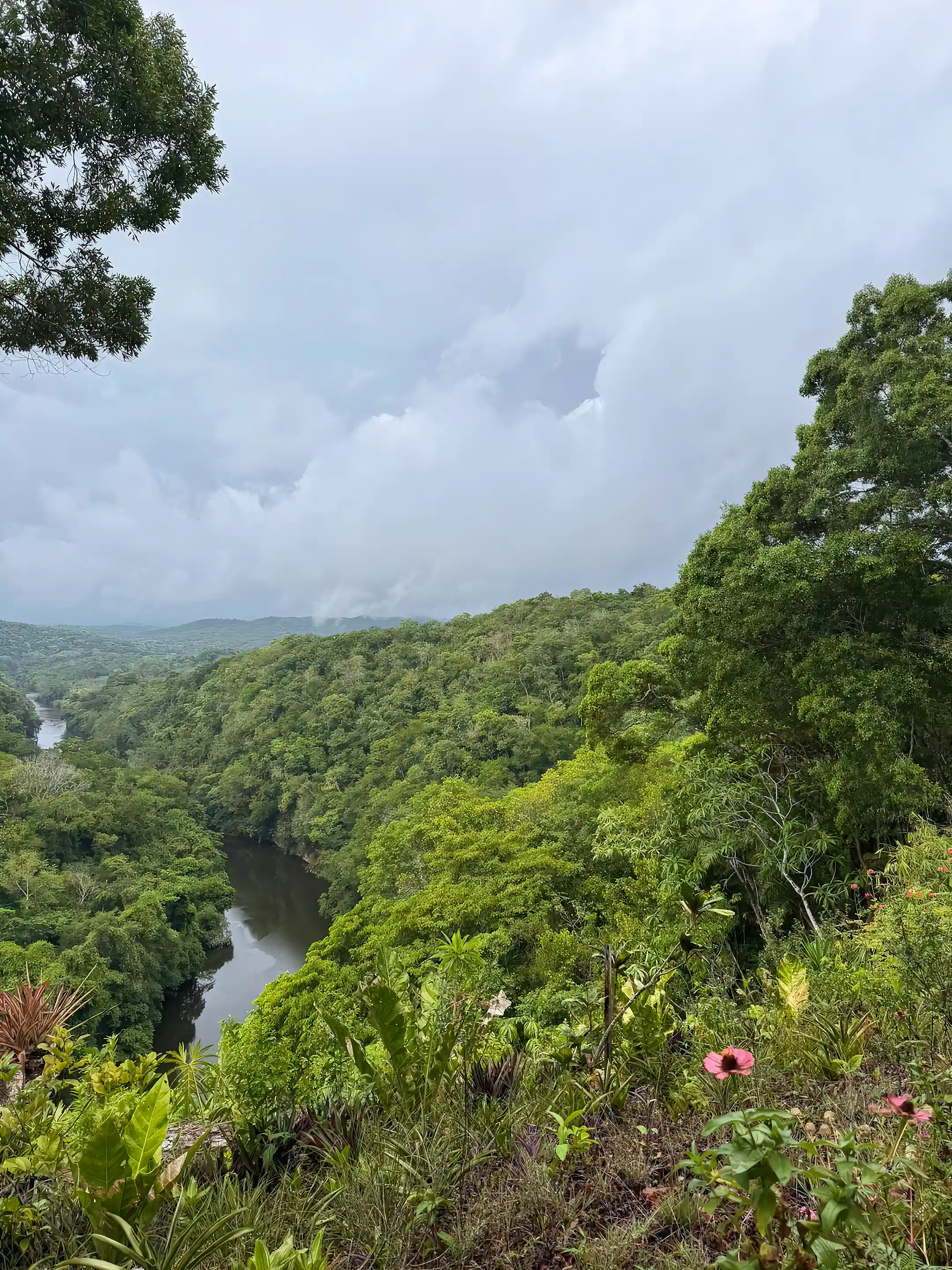 Land for Sale in San Ignacio, Cayo, Belize