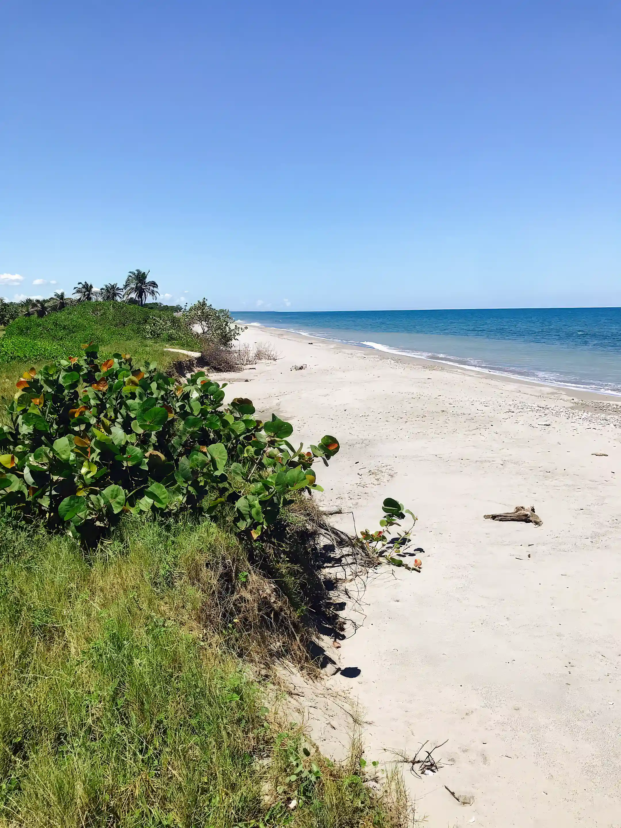 La Ceiba Honduras waterfront beachfront investment properties by Chris Barrett