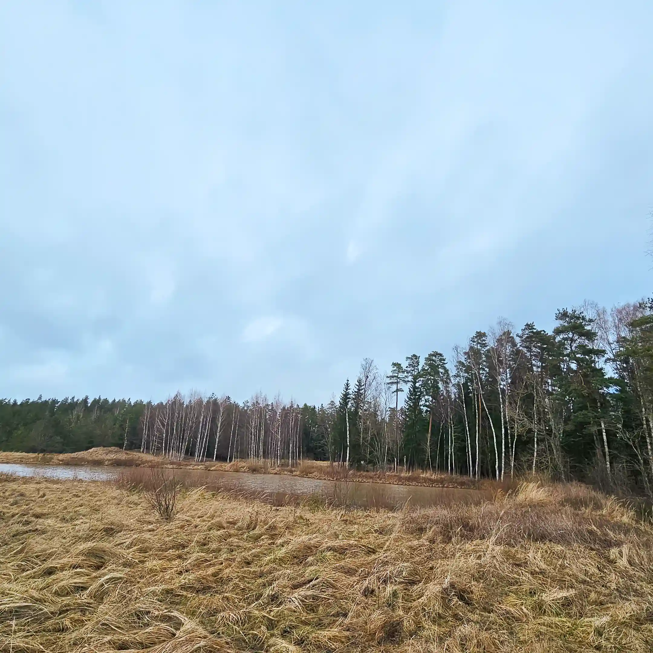 Forest Land for Sale in Nikraces, Kuldigas, Latvia